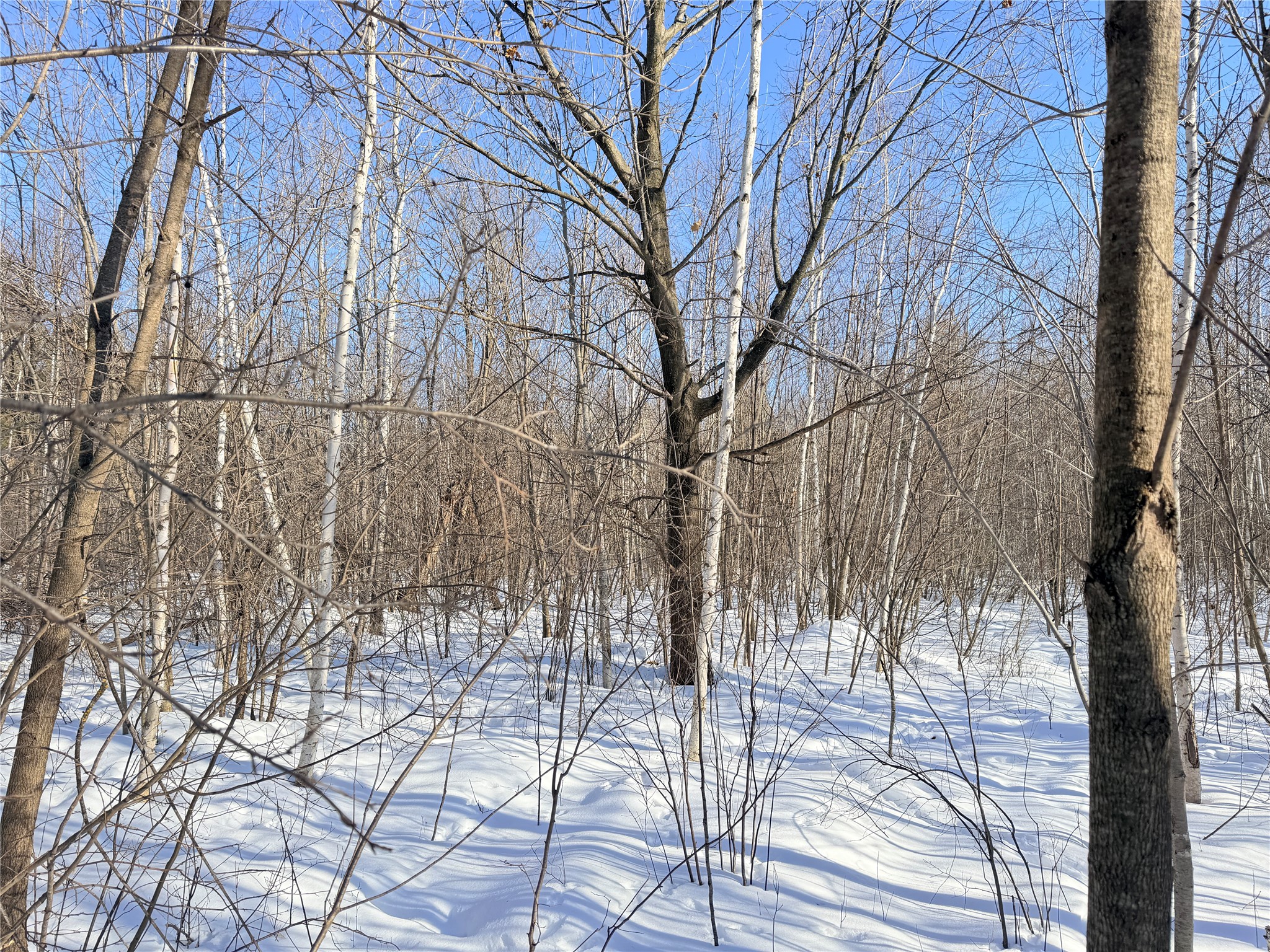 Lot 2 14 1/2 Street Rice Lake WI 54868 1599170 image11