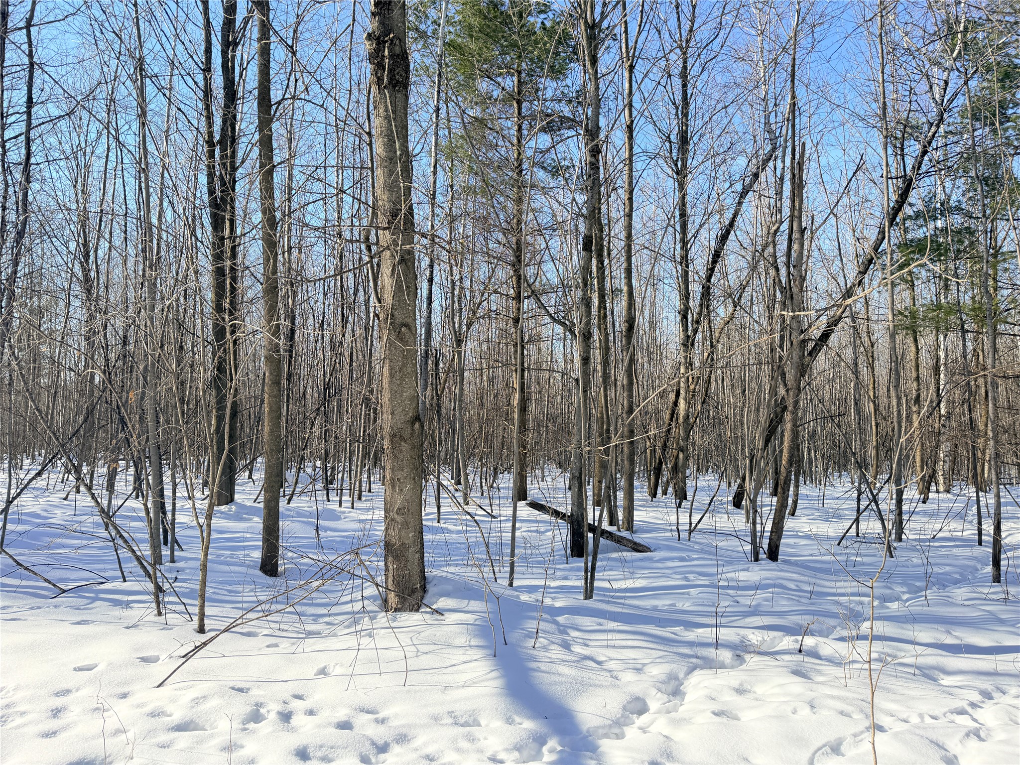 Lot 2 14 1/2 Street Rice Lake WI 54868 1599170 image13