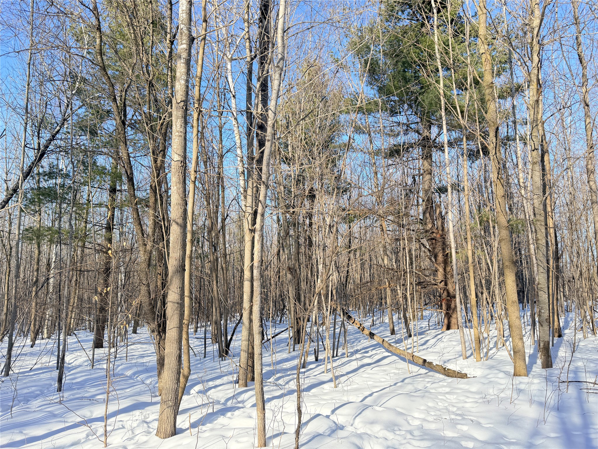 Lot 2 14 1/2 Street Rice Lake WI 54868 1599170 image14