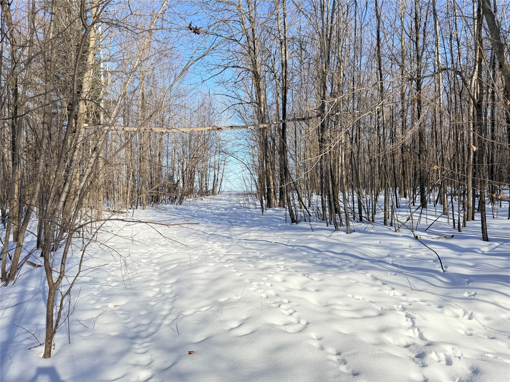 Lot 2 14 1/2 Street Rice Lake WI 54868 1599170 image15