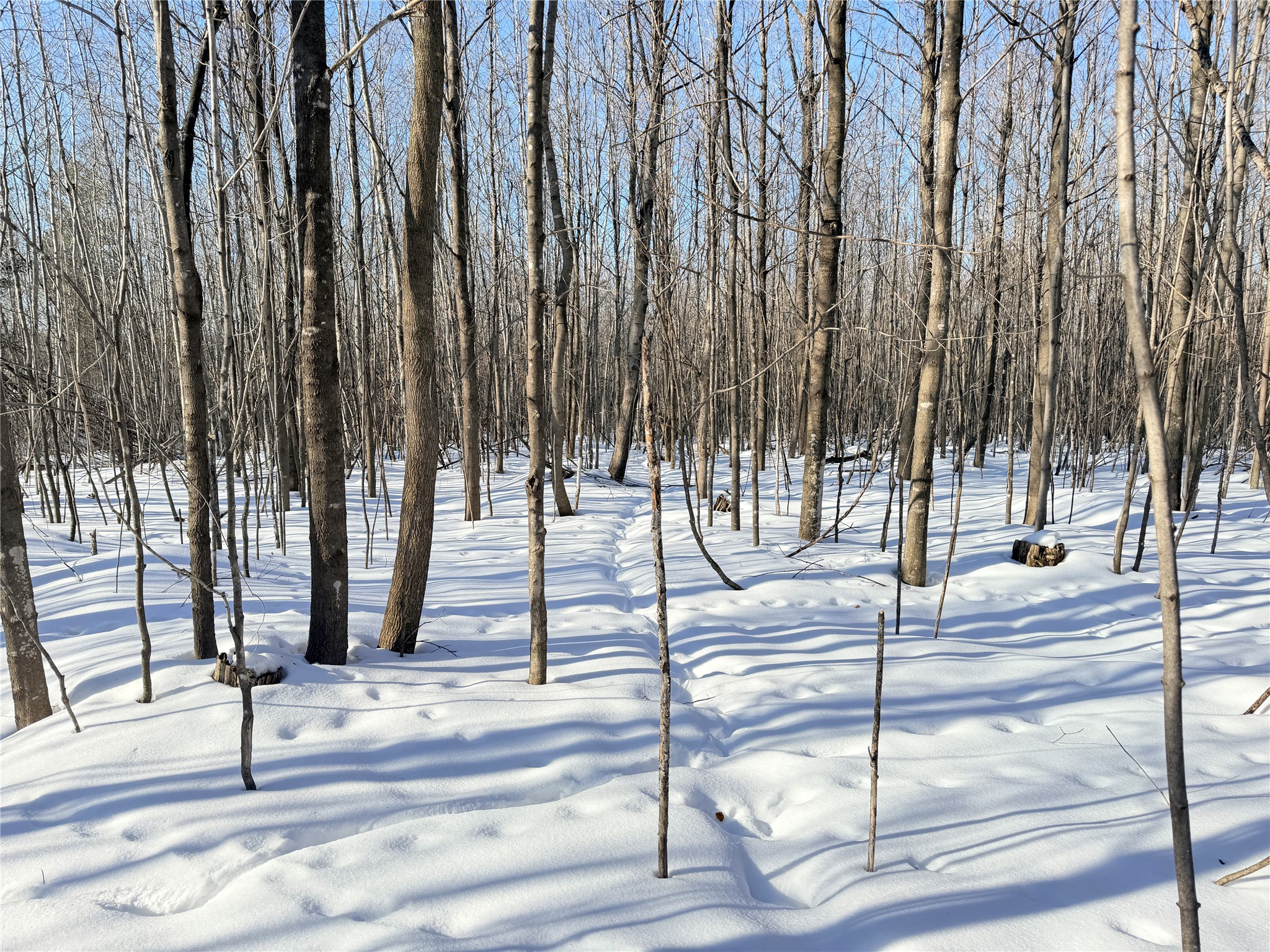 Lot 2 14 1/2 Street Rice Lake WI 54868 1599170 image16