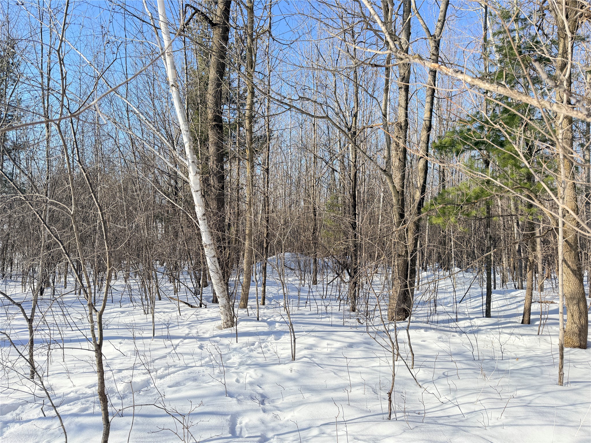 Lot 2 14 1/2 Street Rice Lake WI 54868 1599170 image17