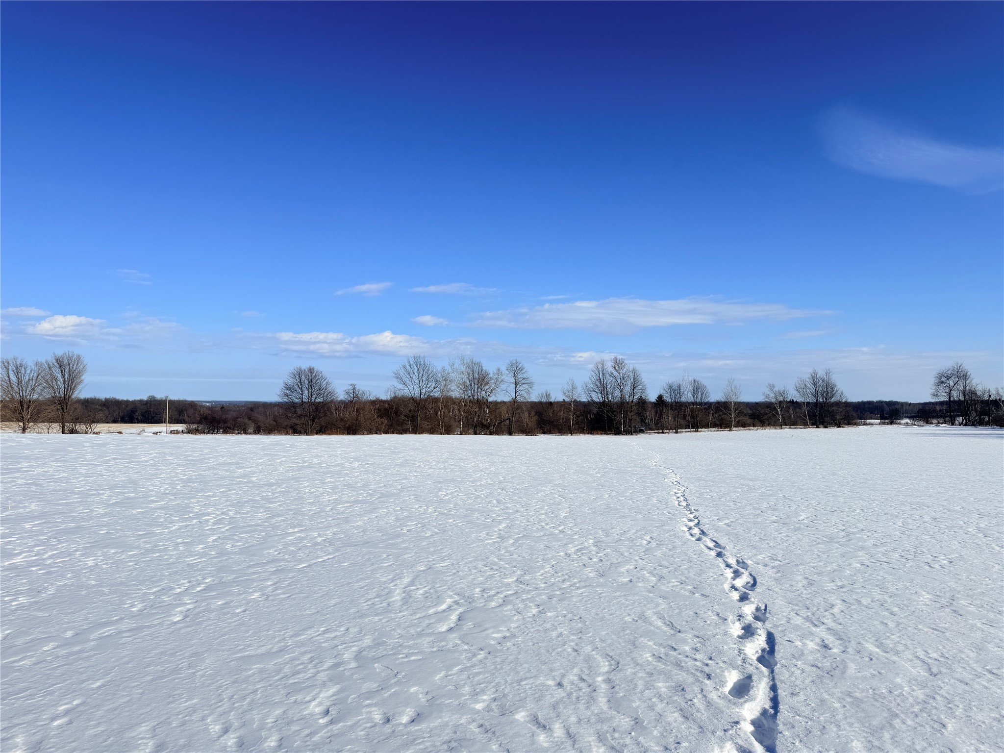 Lot 2 14 1/2 Street Rice Lake WI 54868 1599170 image18