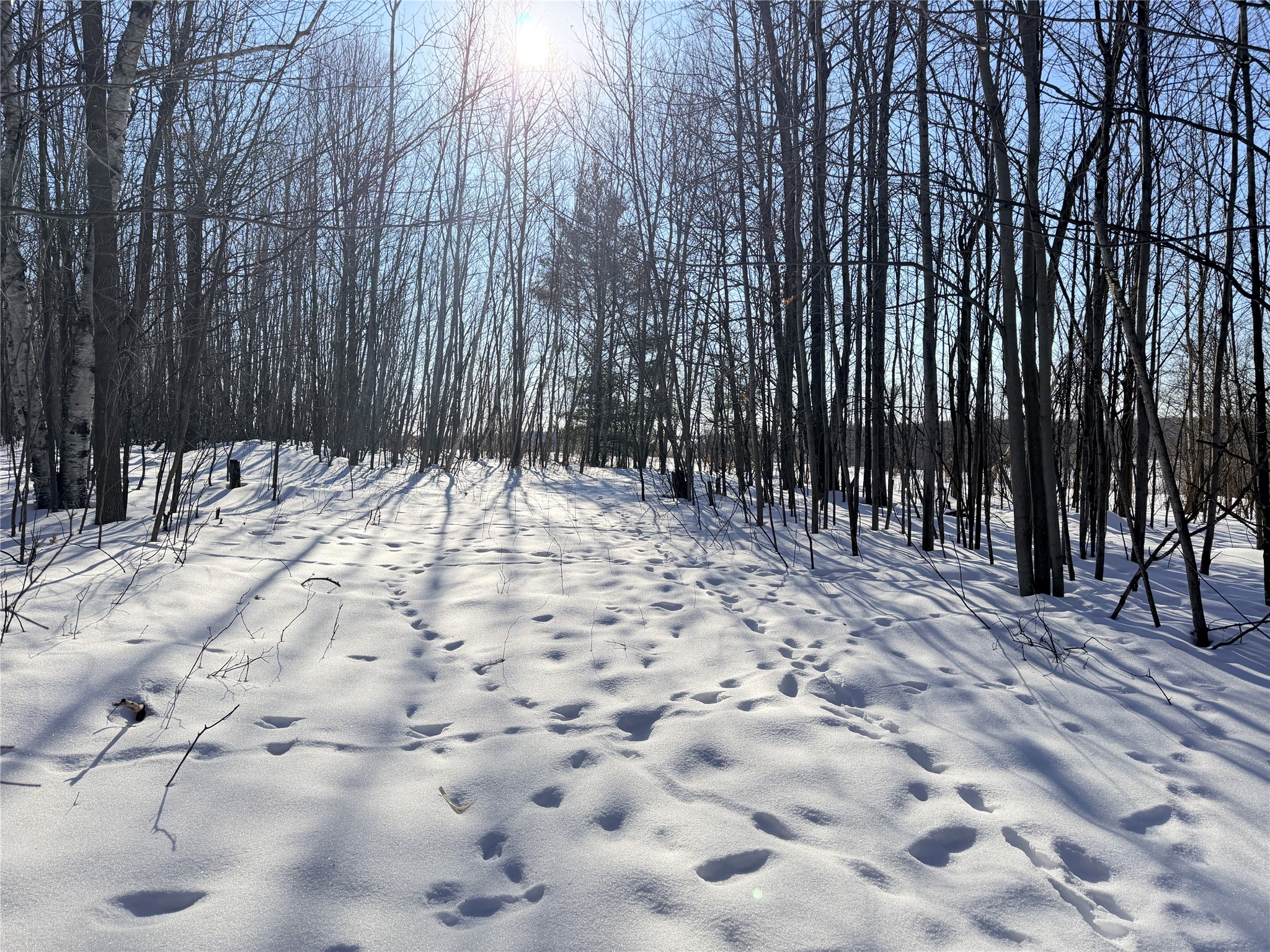 Lot 2 14 1/2 Street Rice Lake WI 54868 1599170 image3