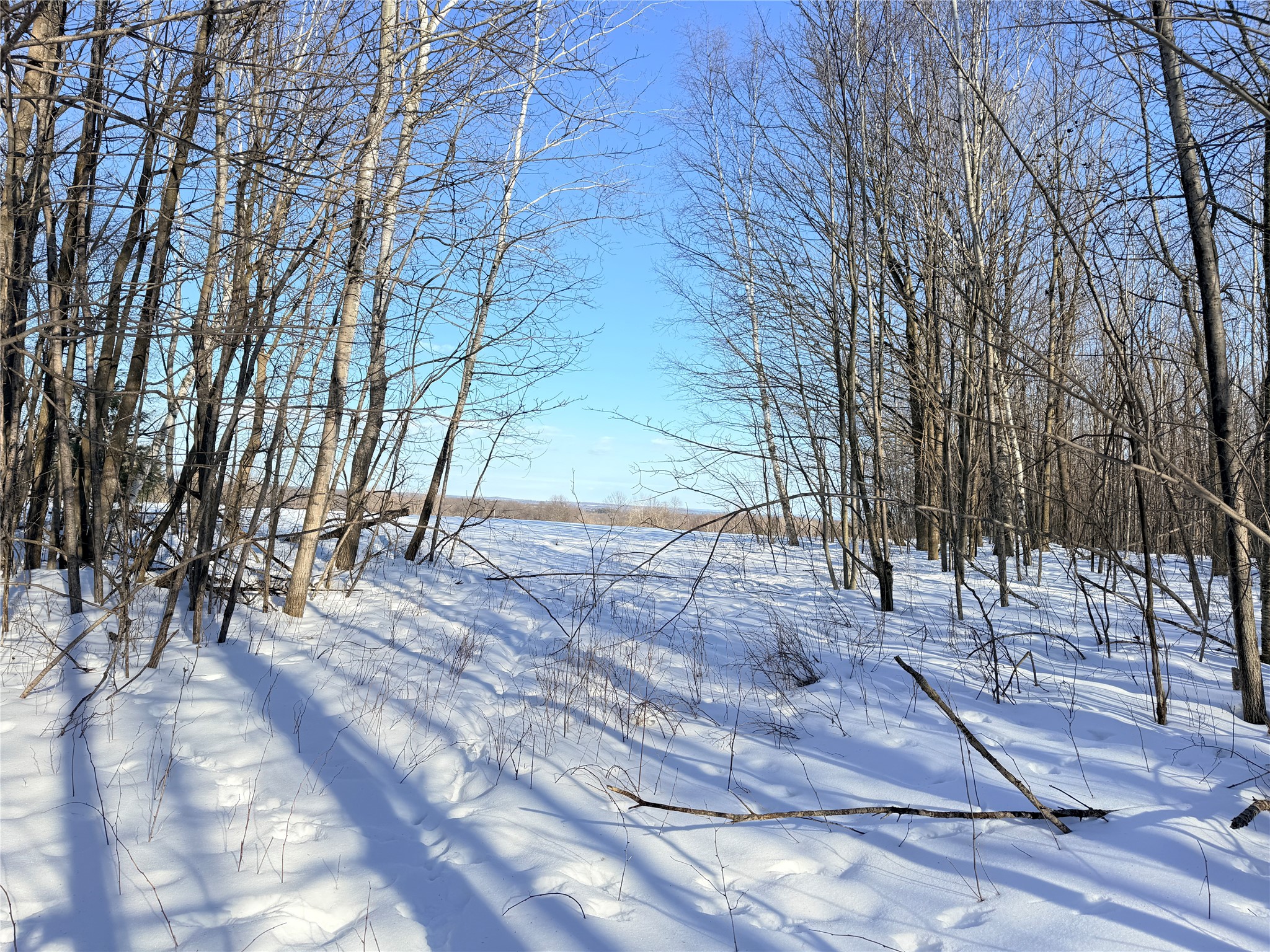 Lot 2 14 1/2 Street Rice Lake WI 54868 1599170 image5