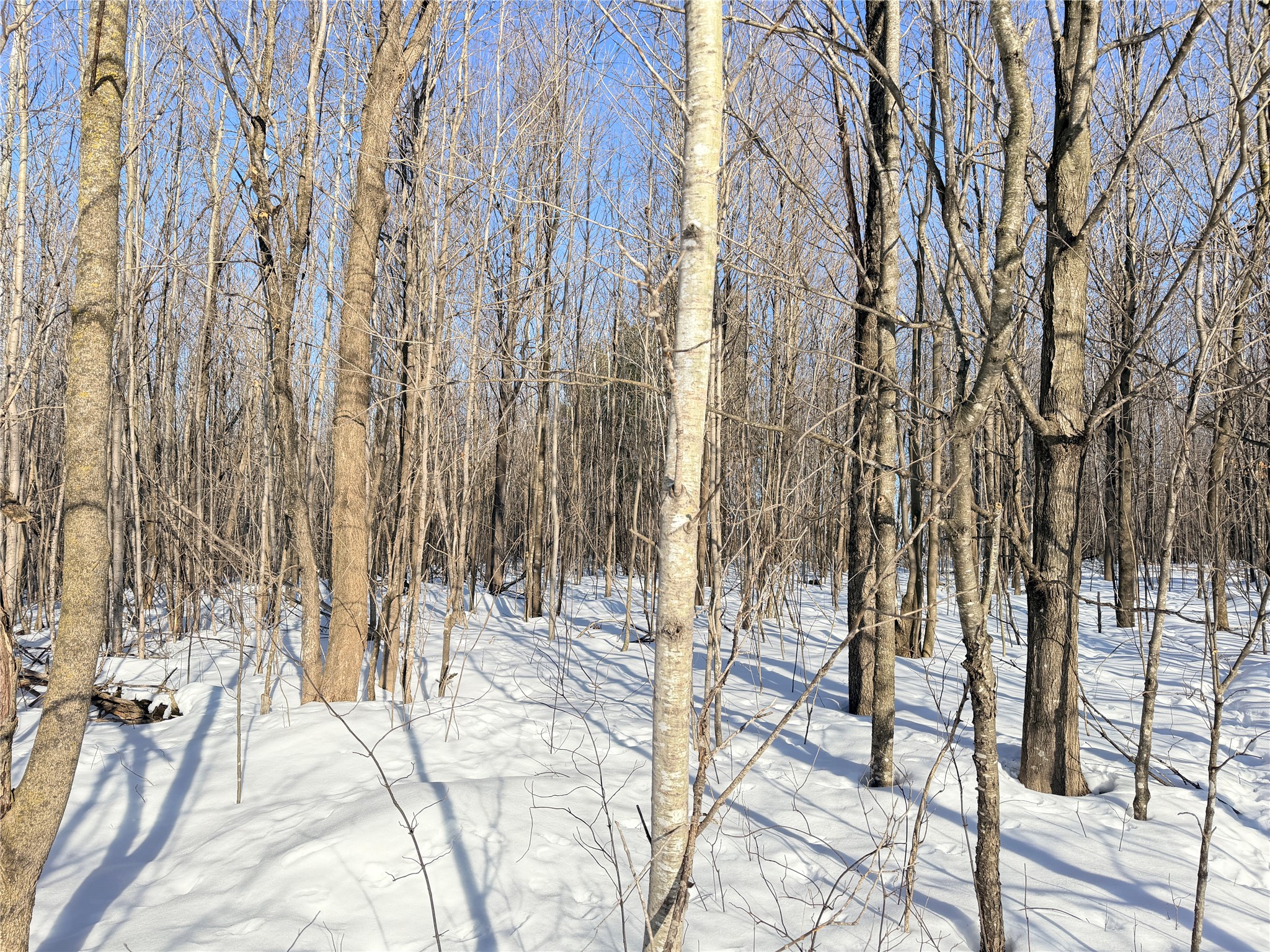 Lot 2 14 1/2 Street Rice Lake WI 54868 1599170 image6