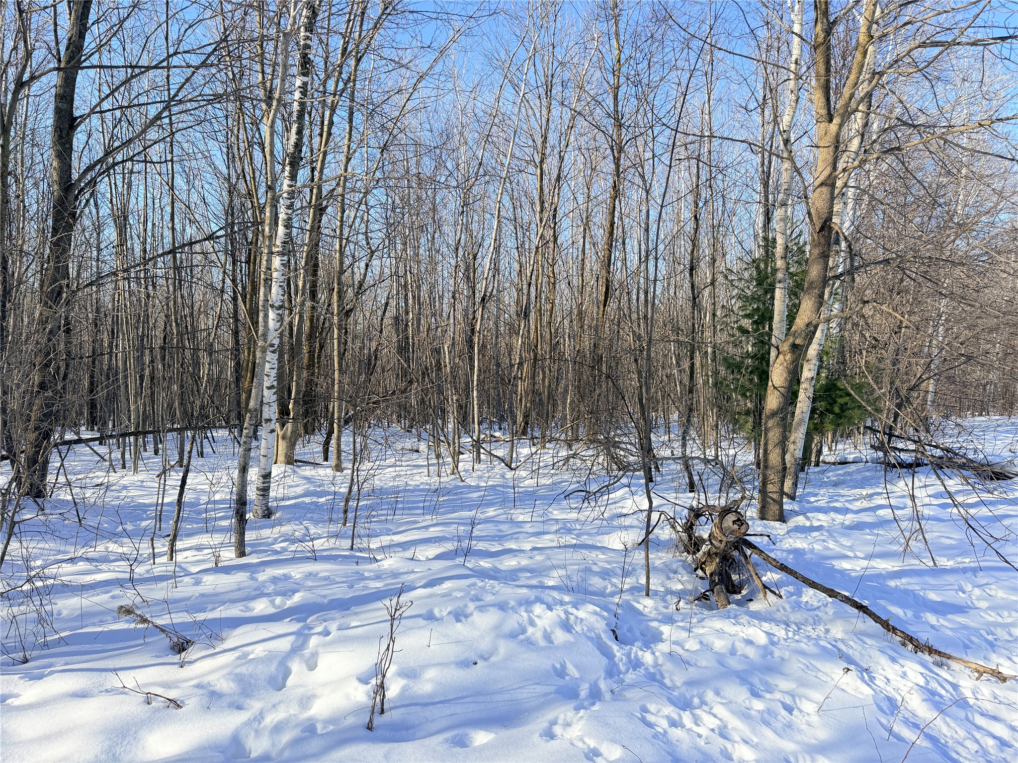 Lot 2 14 1/2 Street Rice Lake WI 54868 1599170 image8