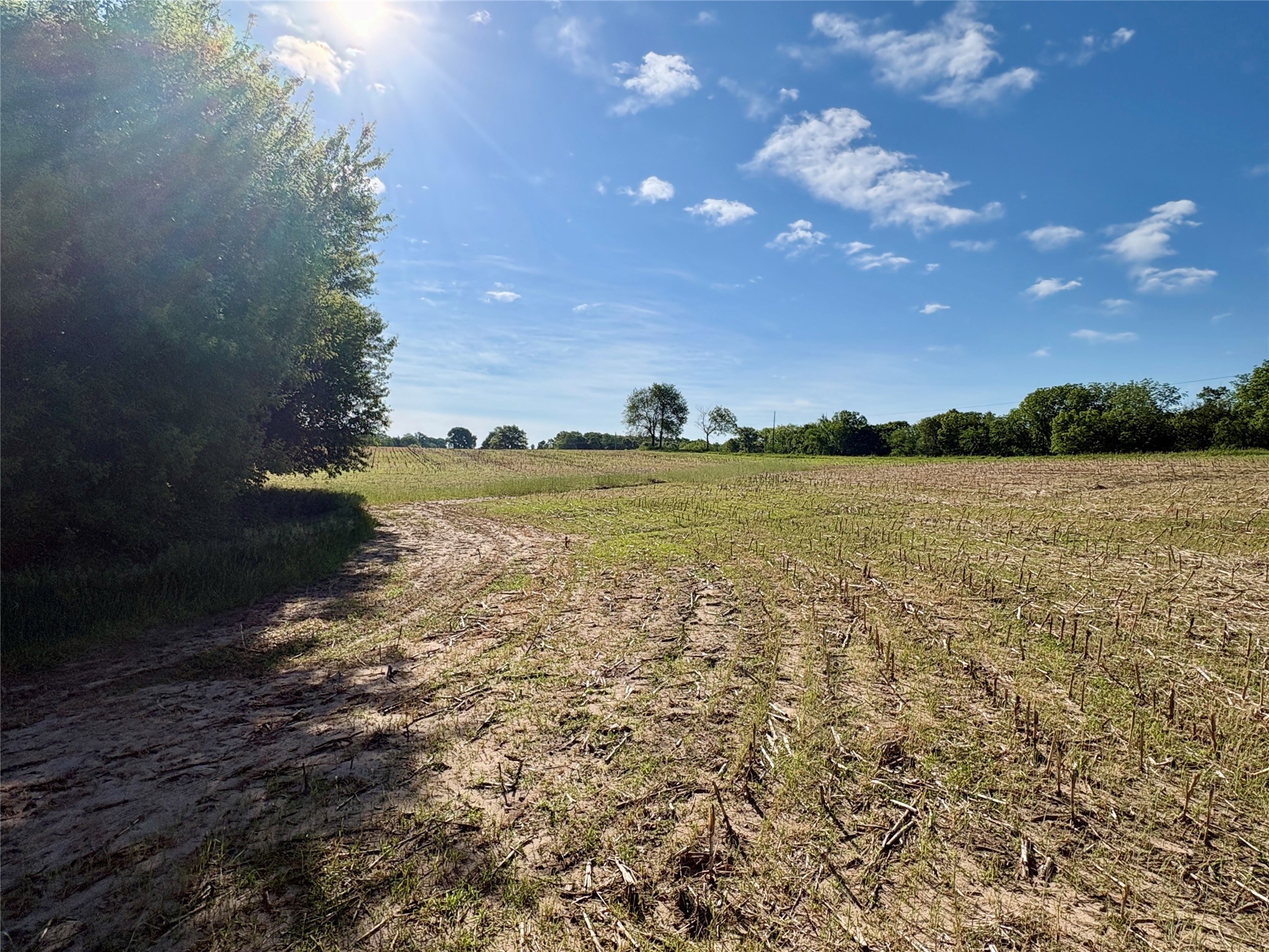 Lot 2 160th Ave Maiden Rock WI 54750 1602122 image10