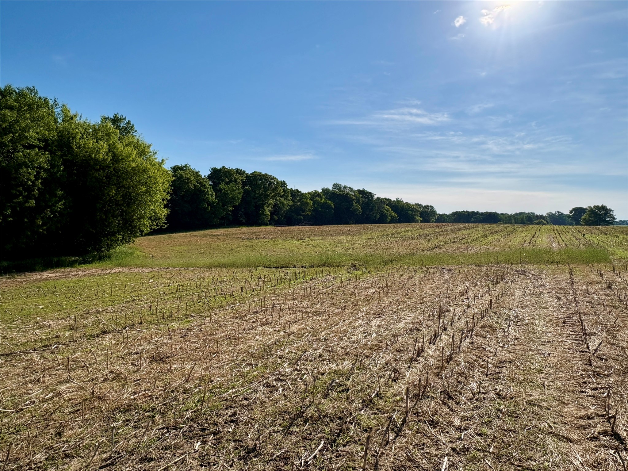 Lot 2 160th Ave Maiden Rock WI 54750 1602122 image11