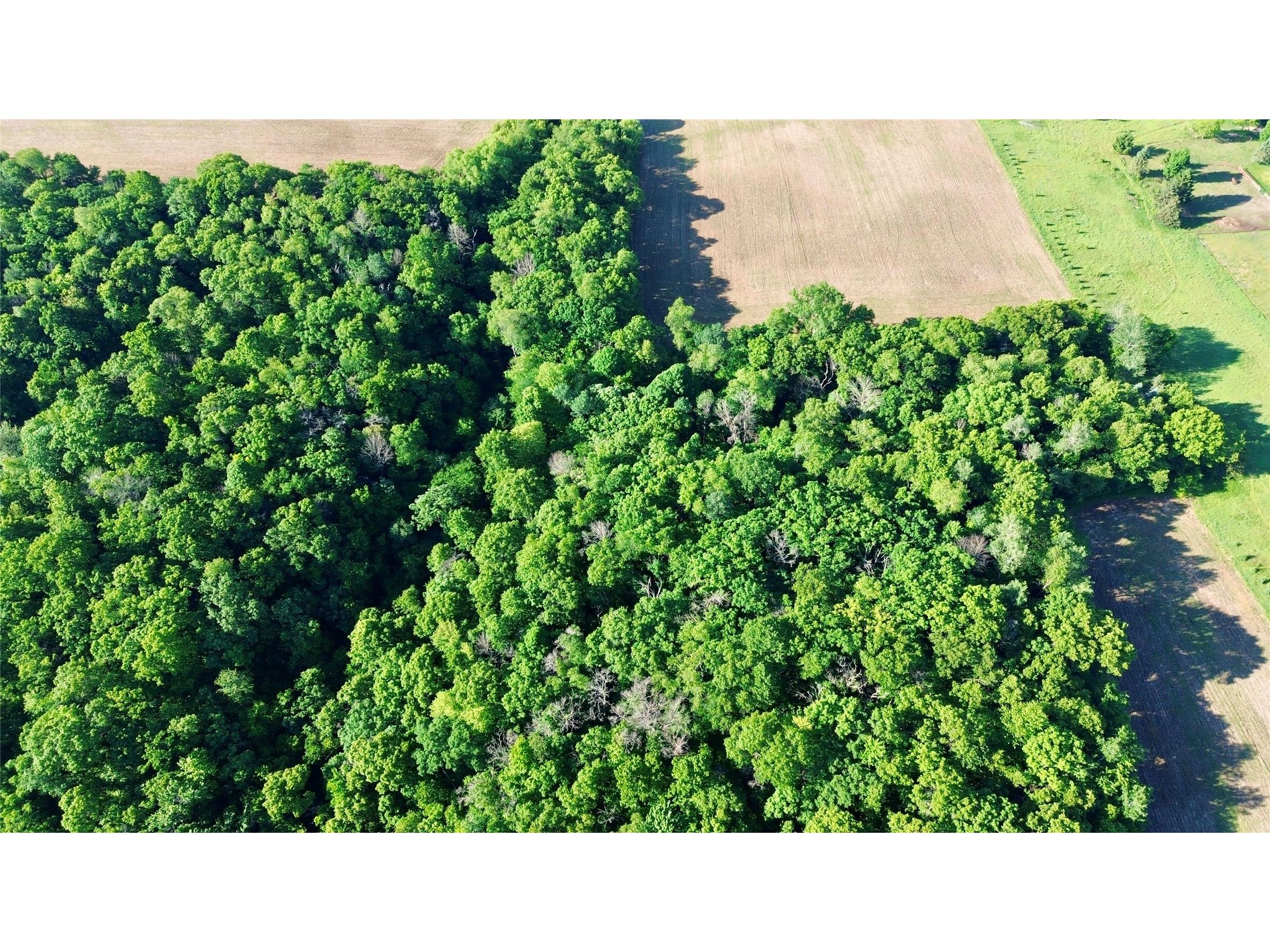 Lot 2 160th Ave Maiden Rock WI 54750 1602122 image17