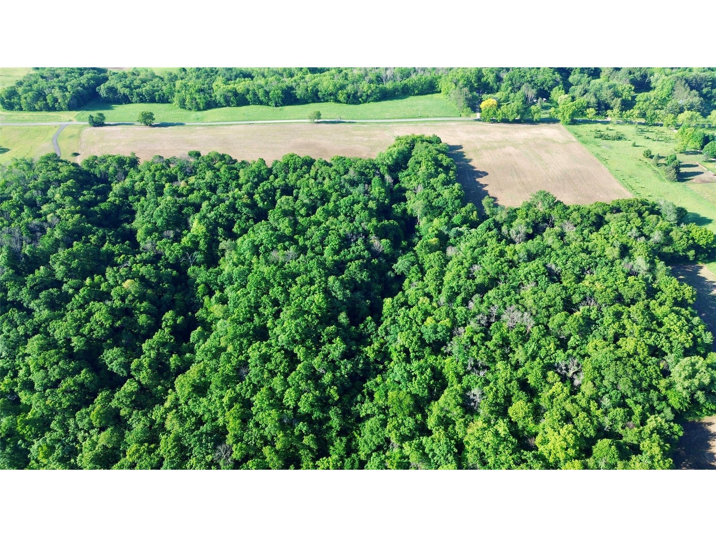 Lot 2 160th Ave Maiden Rock WI 54750 1602122 image18