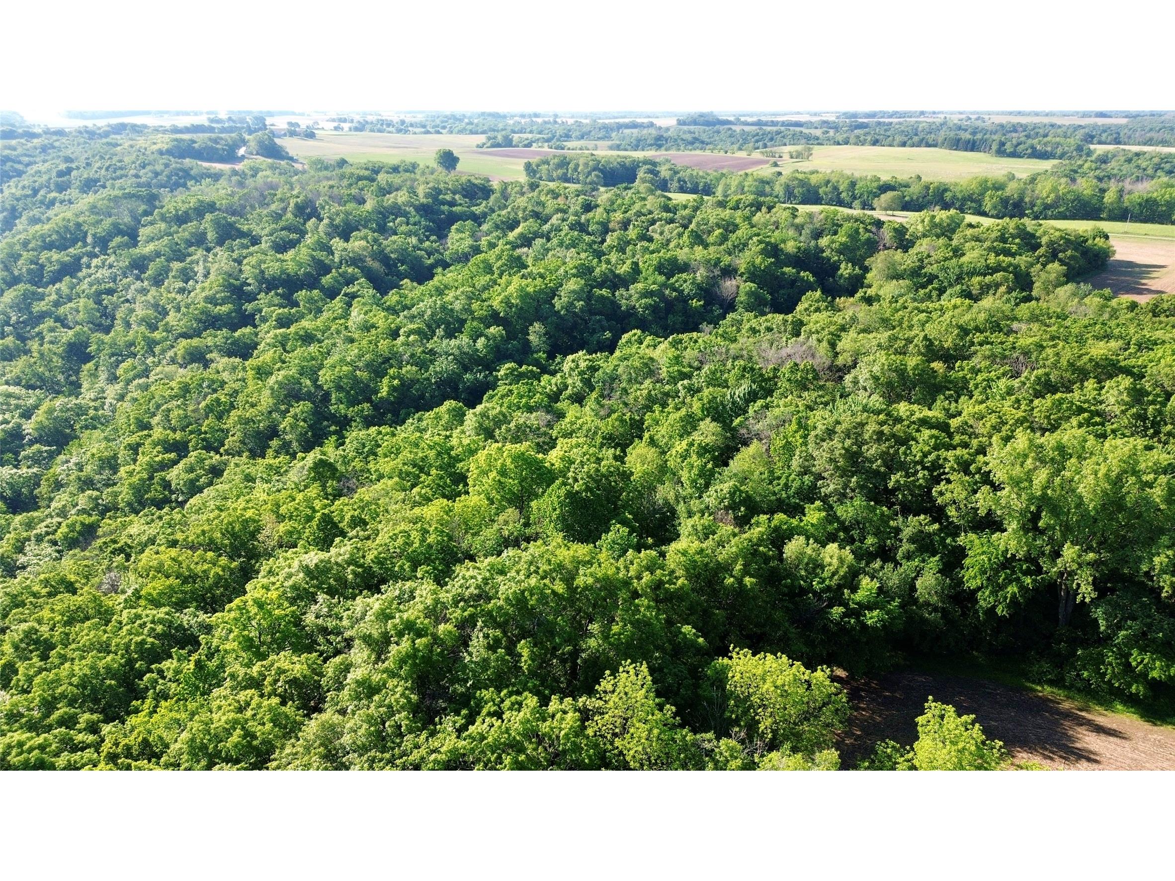 Lot 2 160th Ave Maiden Rock WI 54750 1602122 image22