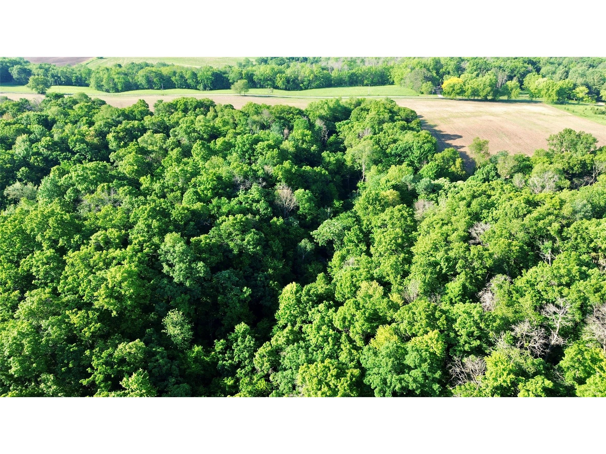 Lot 2 160th Ave Maiden Rock WI 54750 1602122 image24