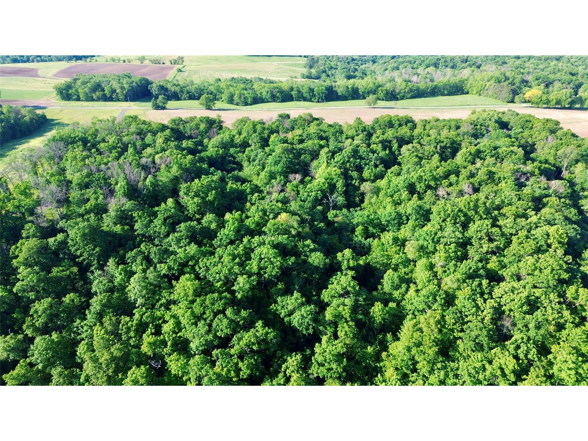 Lot 2 160th Ave Maiden Rock WI 54750 1602122 image25