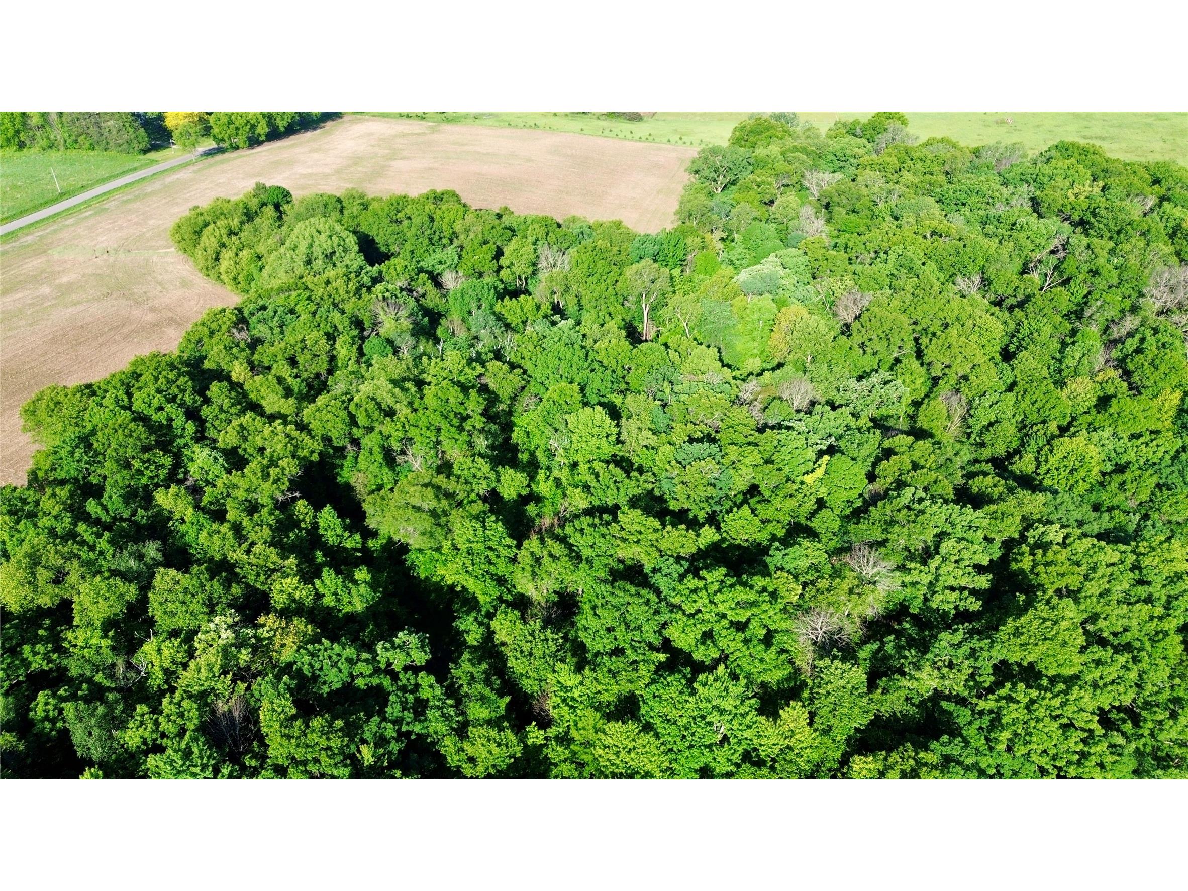 Lot 2 160th Ave Maiden Rock WI 54750 1602122 image27