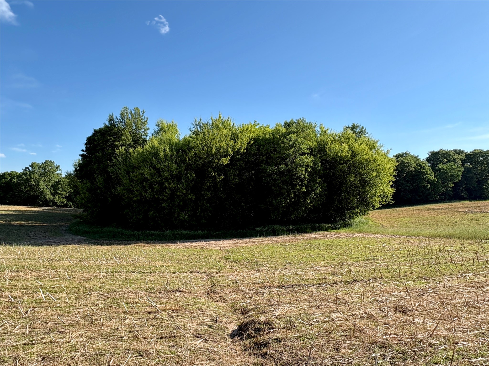 Lot 2 160th Ave Maiden Rock WI 54750 1602122 image31