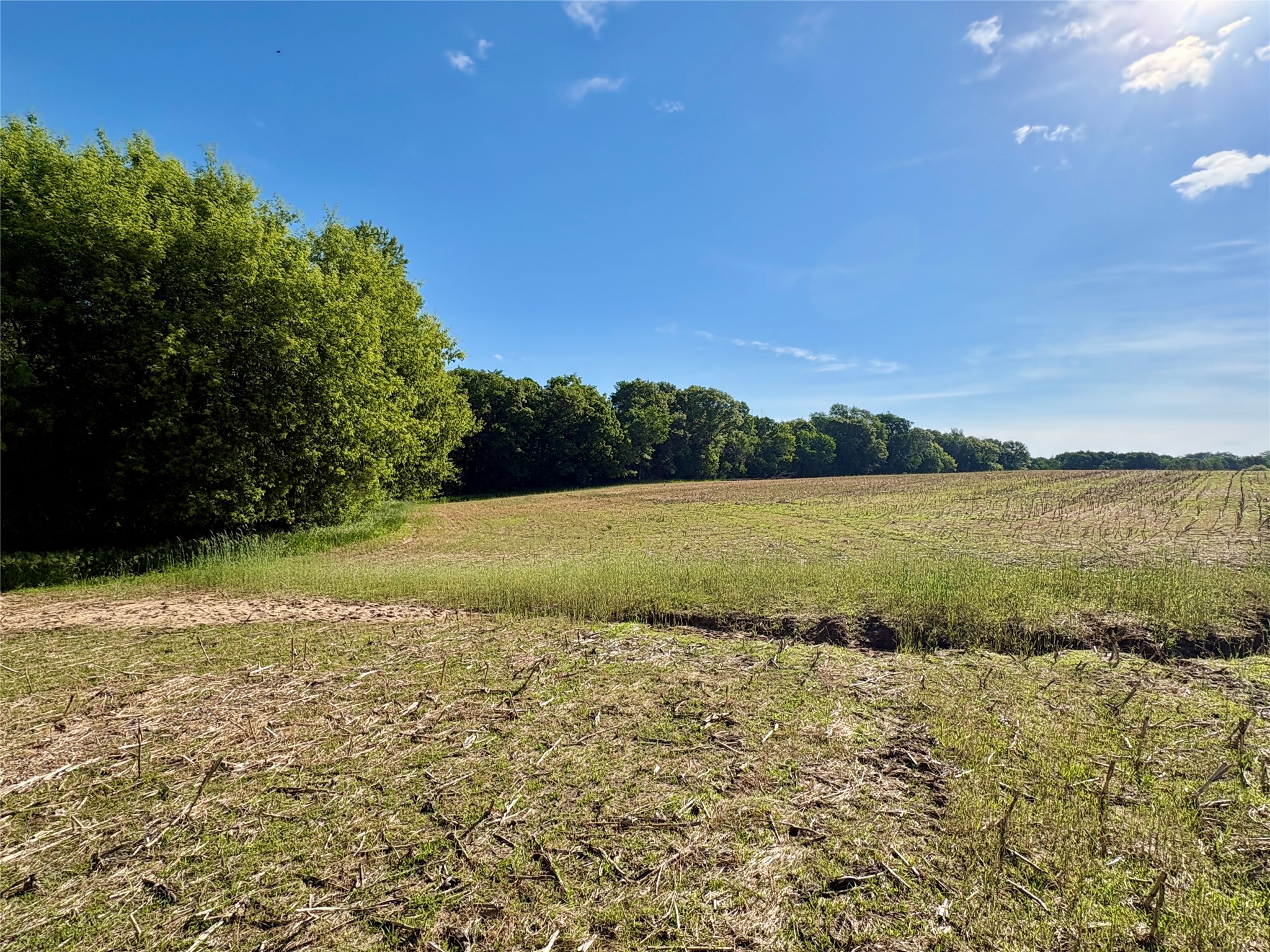 Lot 2 160th Ave Maiden Rock WI 54750 1602122 image32