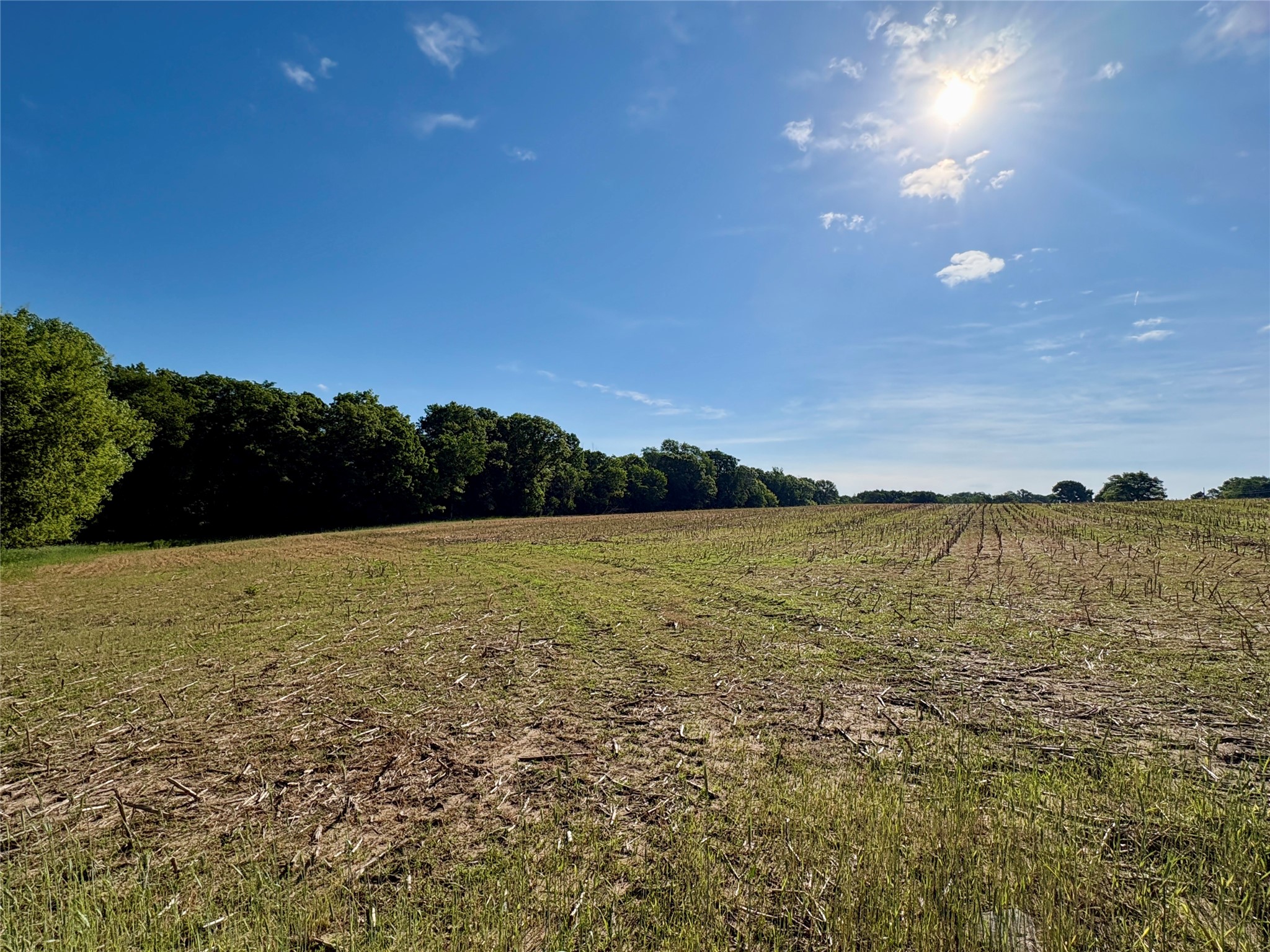 Lot 2 160th Ave Maiden Rock WI 54750 1602122 image6