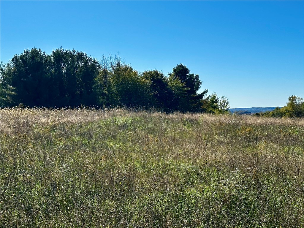 Lot 2 180th Street Chippewa Falls WI 54729 1589320 image11