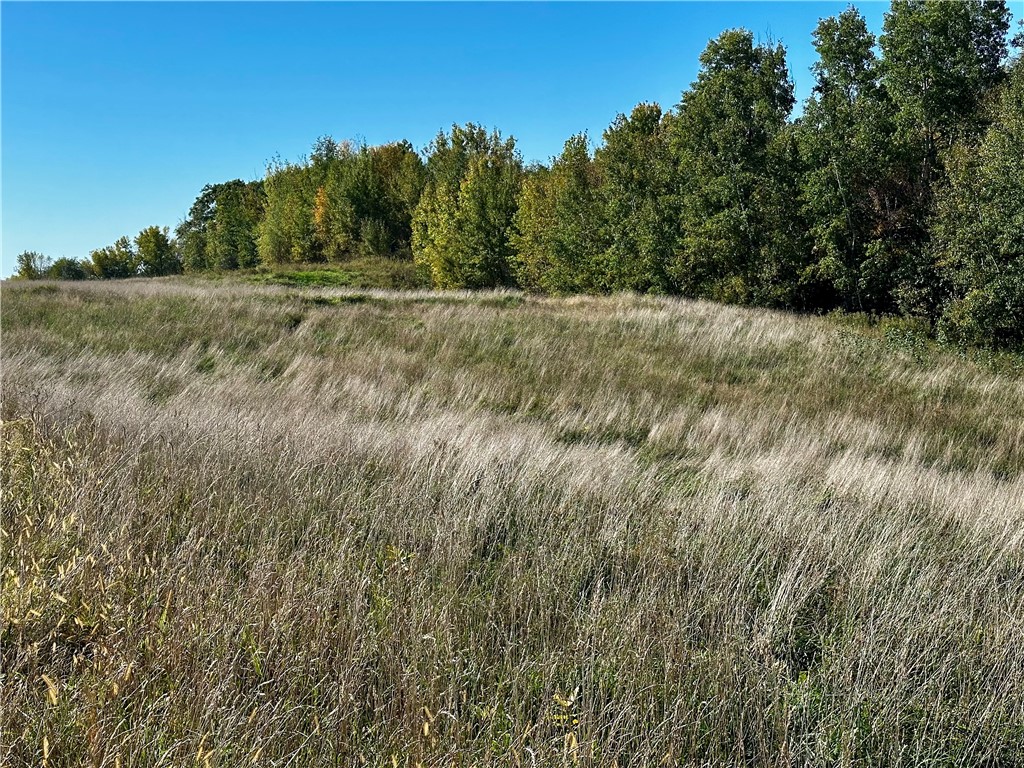 Lot 2 180th Street Chippewa Falls WI 54729 1589320 image41