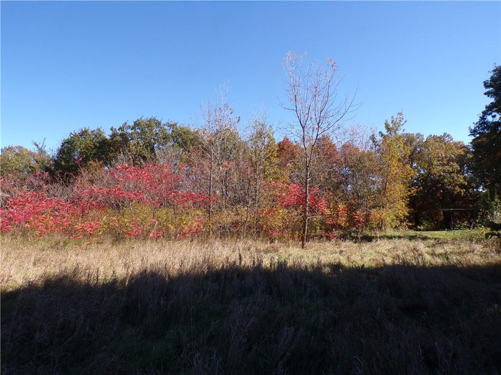 Lot 2 187th Street Chippewa Falls WI 54729 - Chippewa 1586659 image1