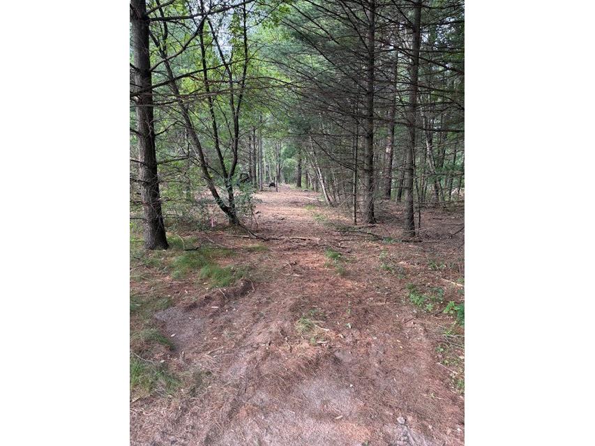 Lot 2 24 3/4 Street Chetek WI 54728 - Barefoot bay of Lake Pokegama 1603322 image1