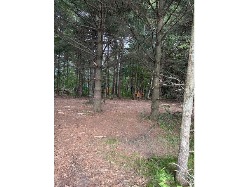 Lot 2 24 3/4 Street Chetek WI 54728 - Barefoot bay of Lake Pokegama 1603322 image5