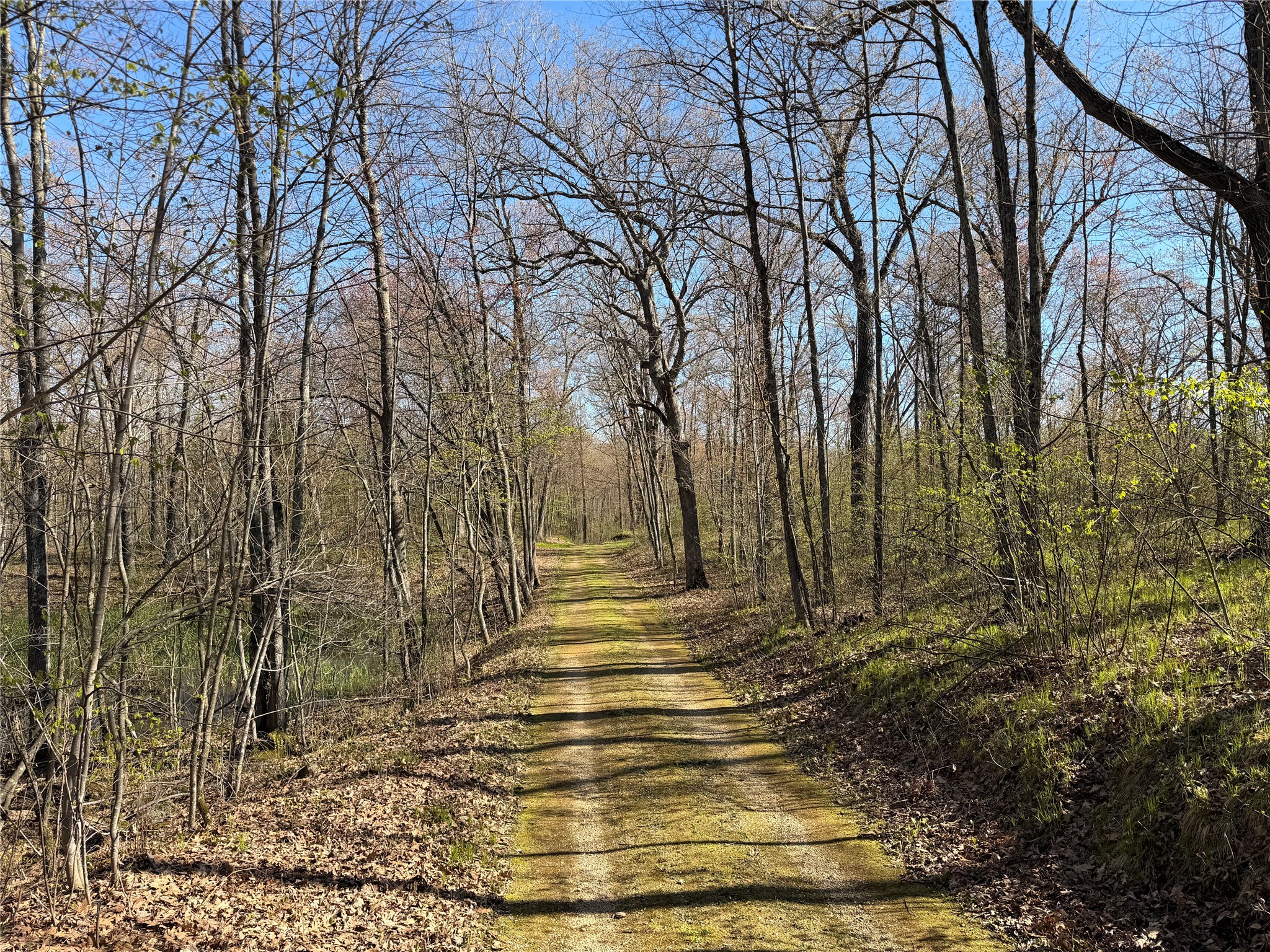 Lot 2 267th Avenue New Auburn WI 54757 - Long Lake 1600795 image13