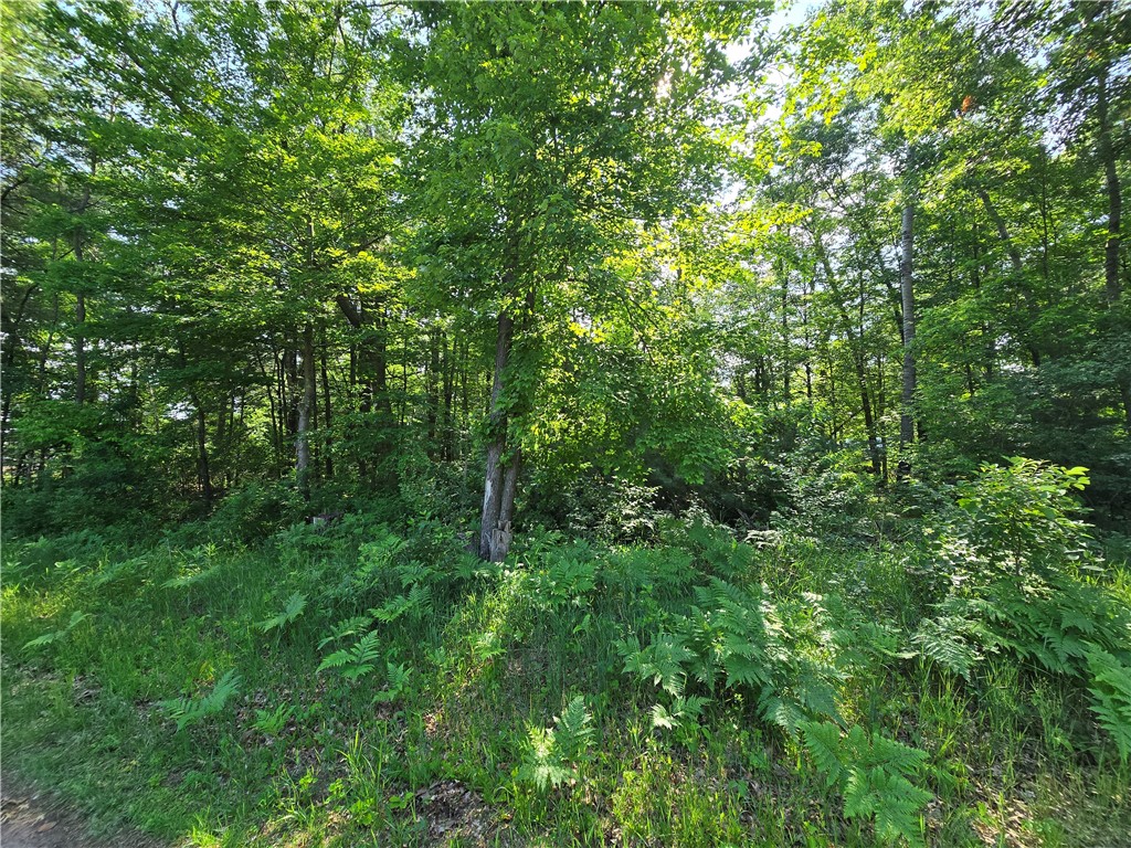 Lot 2 & 3 N Nelson Street Grantsburg WI 54840 1592906 image1