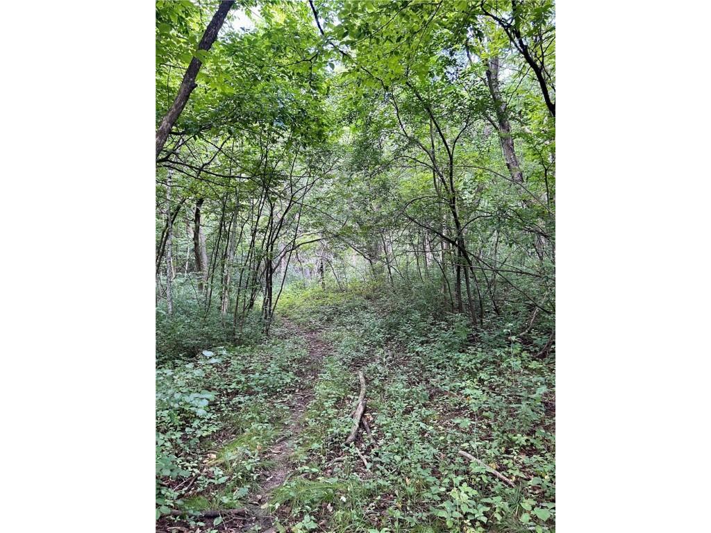 Lot 2 30th Avenue Amery WI 54001 1593973 image1