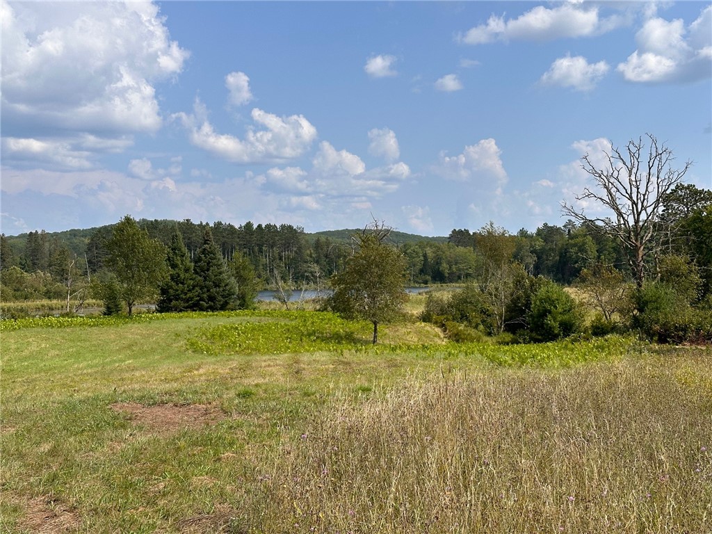 Lot #2 Anderson Road Hayward WI 54843 - Little Spring 1584782 image7