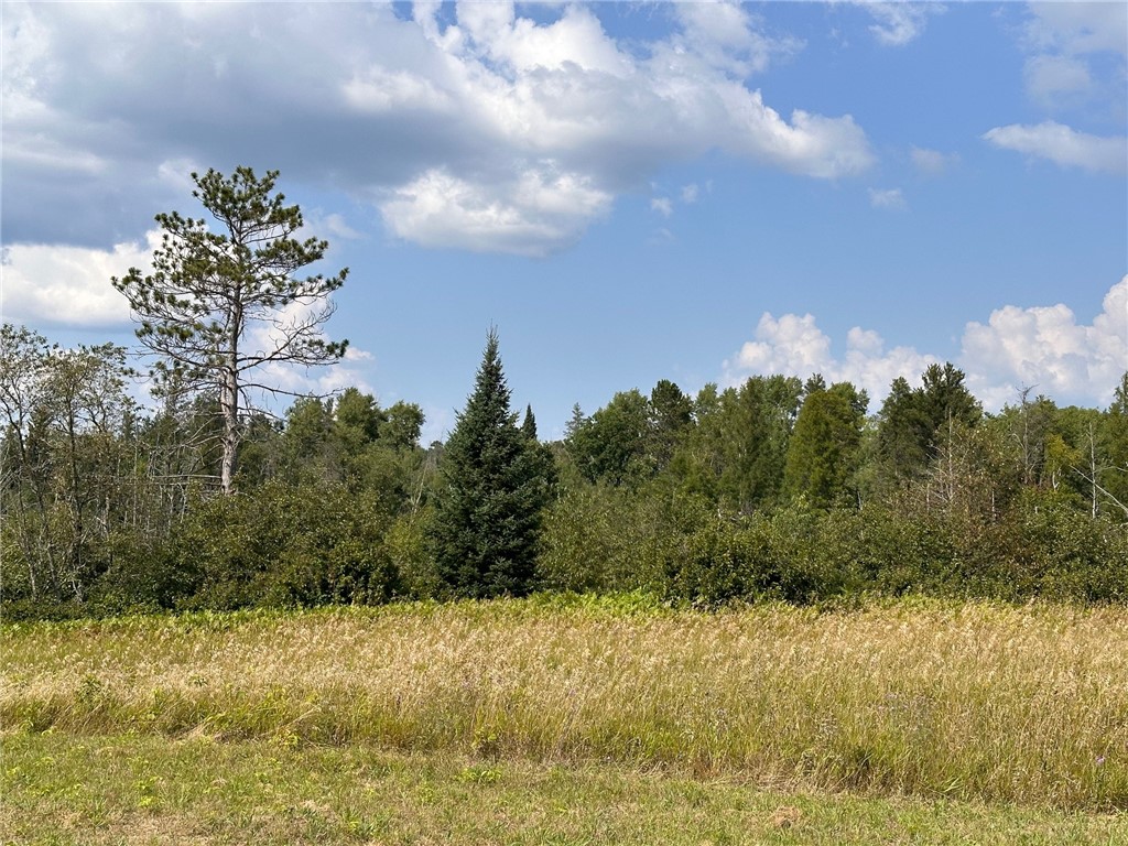 Lot #2 Anderson Road Hayward WI 54843 - Little Spring 1584782 image9