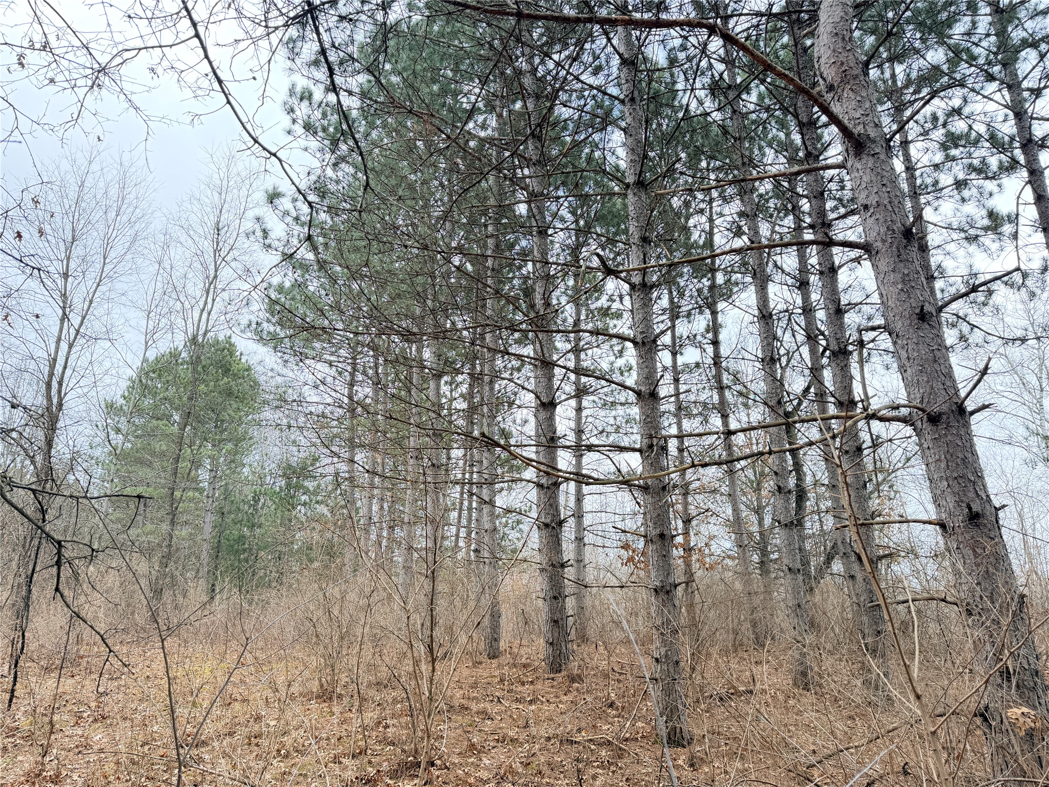 Lot 2 Big Lake Drive Osceola WI 54020 1599615 image10