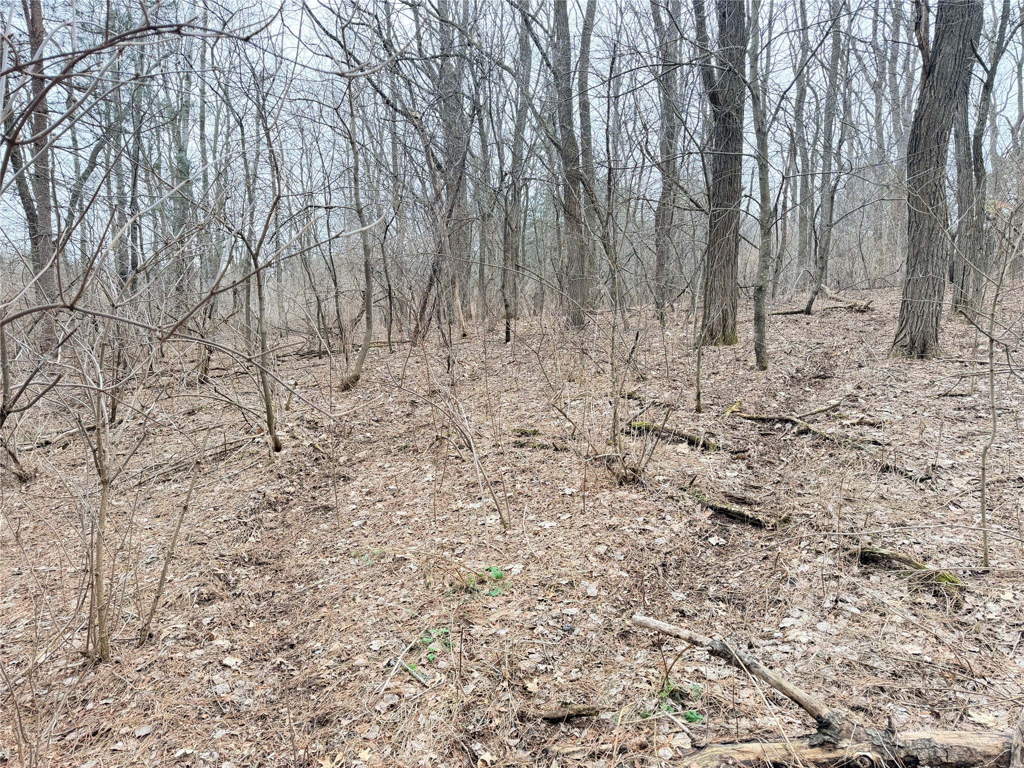 Lot 2 Big Lake Drive Osceola WI 54020 1599615 image11