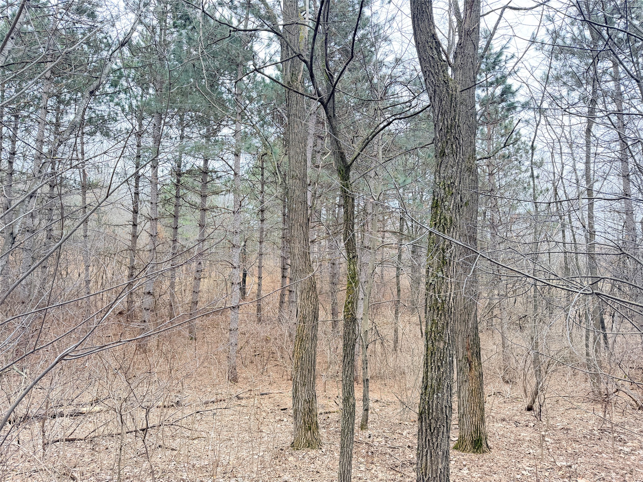 Lot 2 Big Lake Drive Osceola WI 54020 1599615 image12