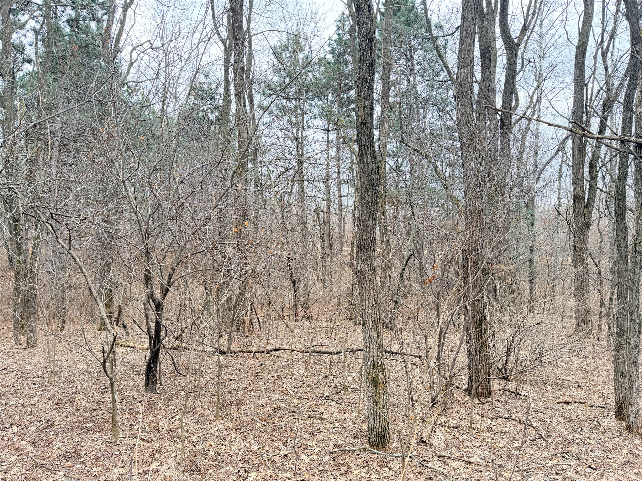 Lot 2 Big Lake Drive Osceola WI 54020 1599615 image13