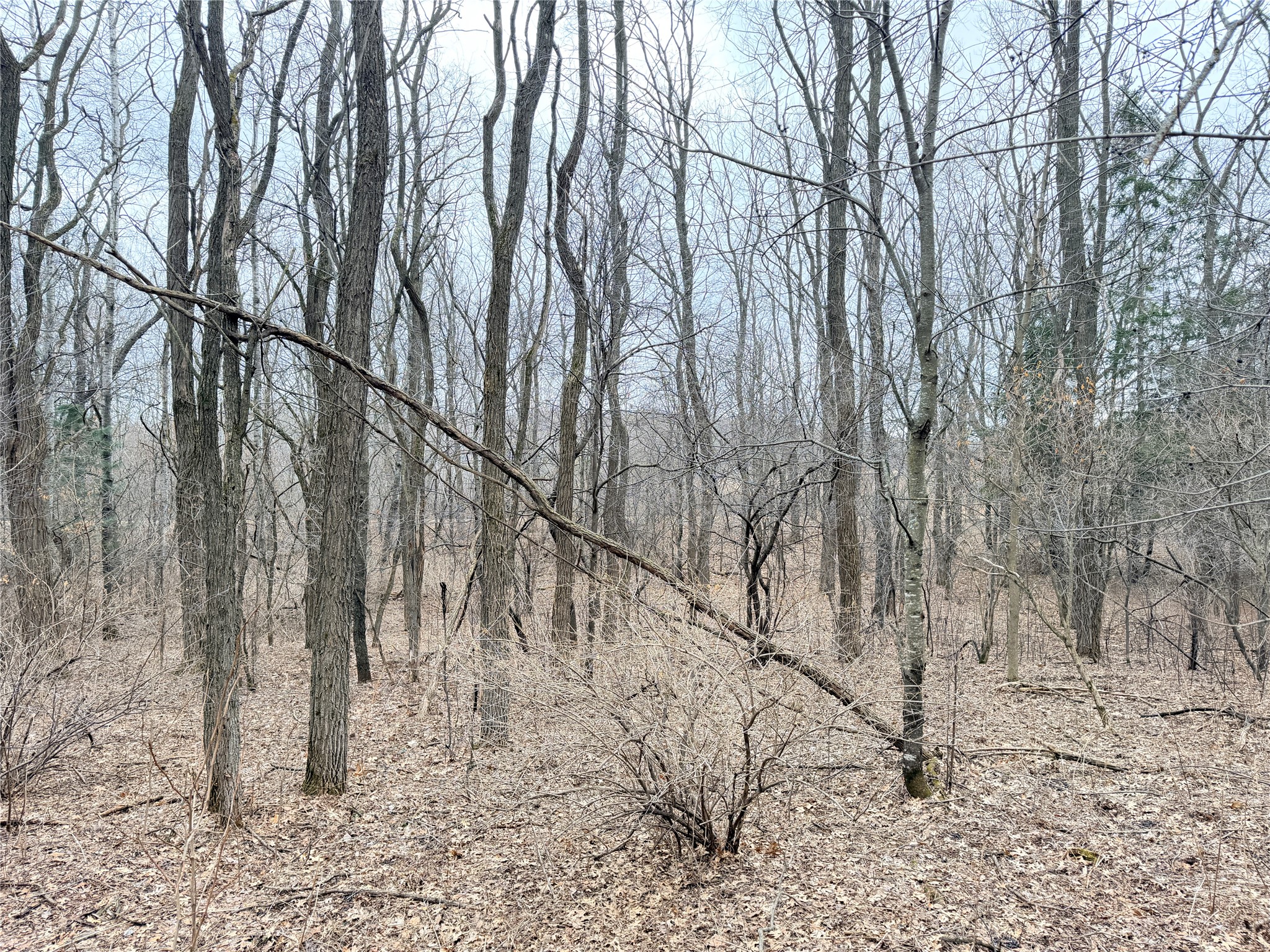 Lot 2 Big Lake Drive Osceola WI 54020 1599615 image14