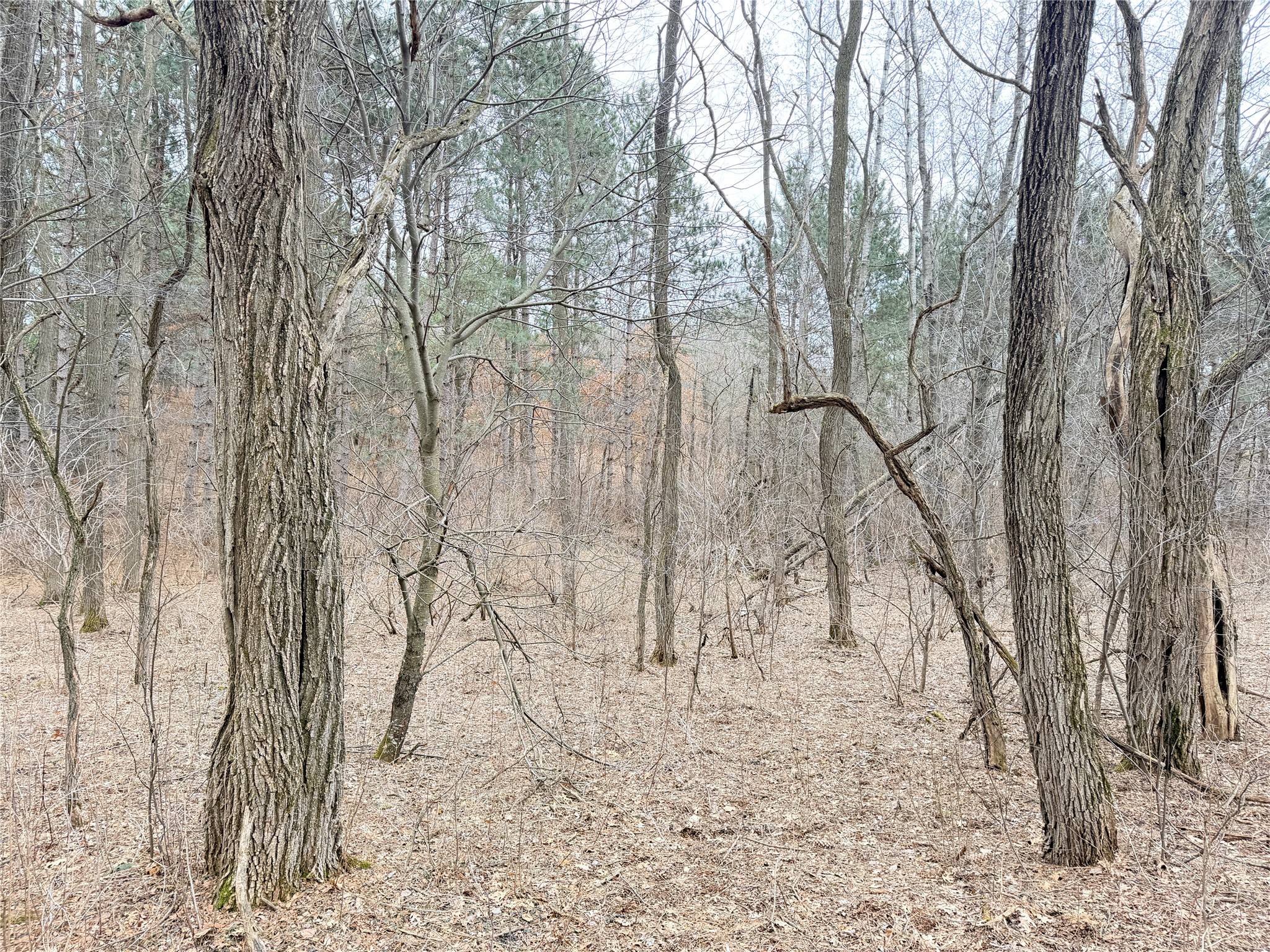 Lot 2 Big Lake Drive Osceola WI 54020 1599615 image15