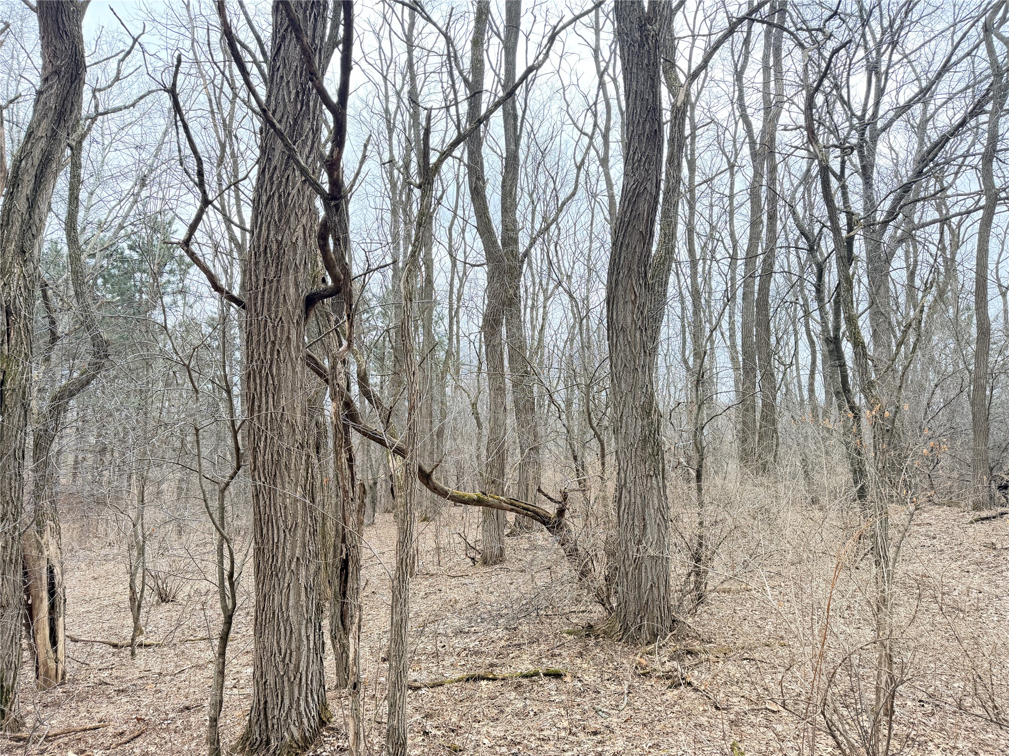 Lot 2 Big Lake Drive Osceola WI 54020 1599615 image16