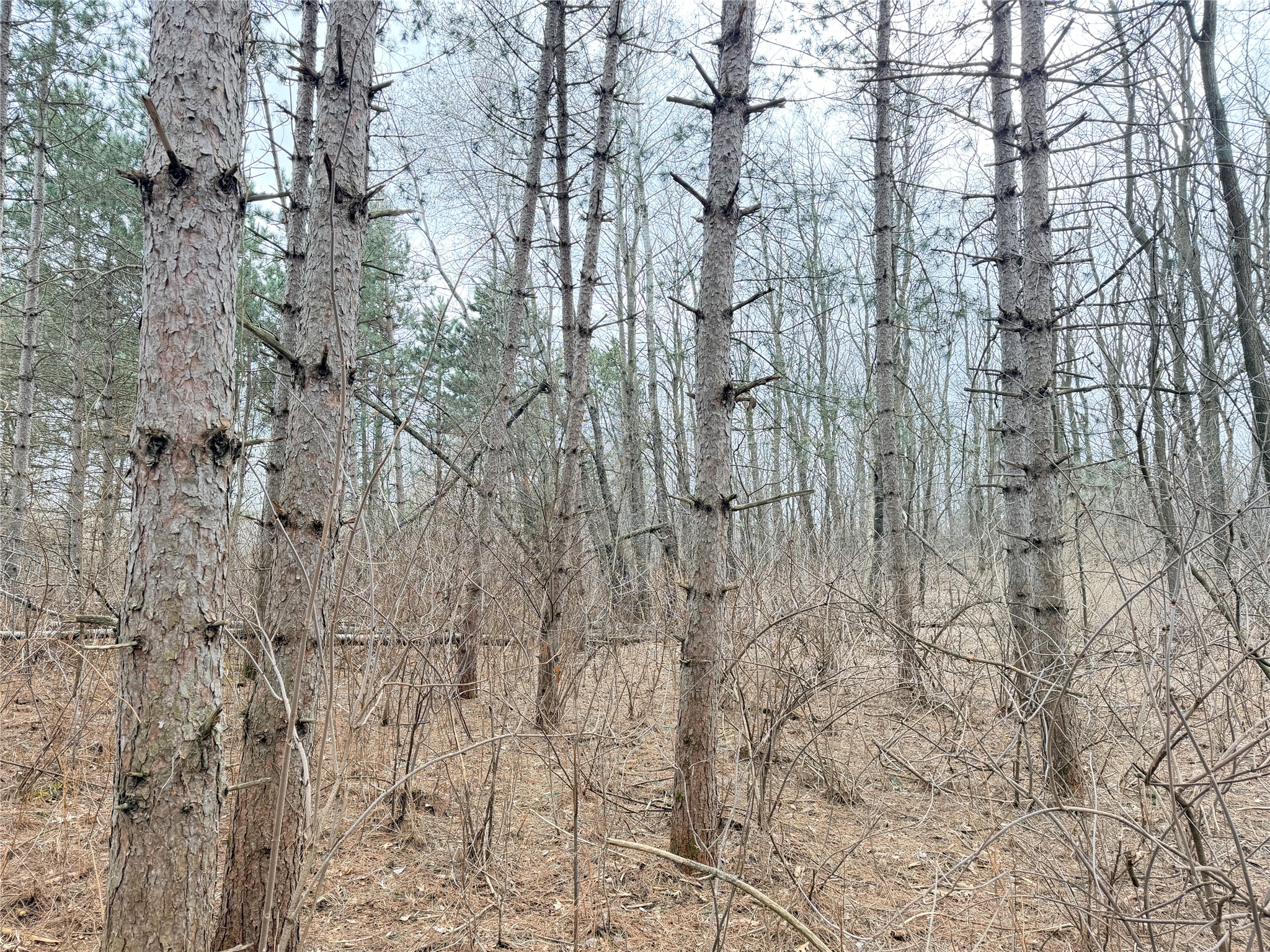 Lot 2 Big Lake Drive Osceola WI 54020 1599615 image17