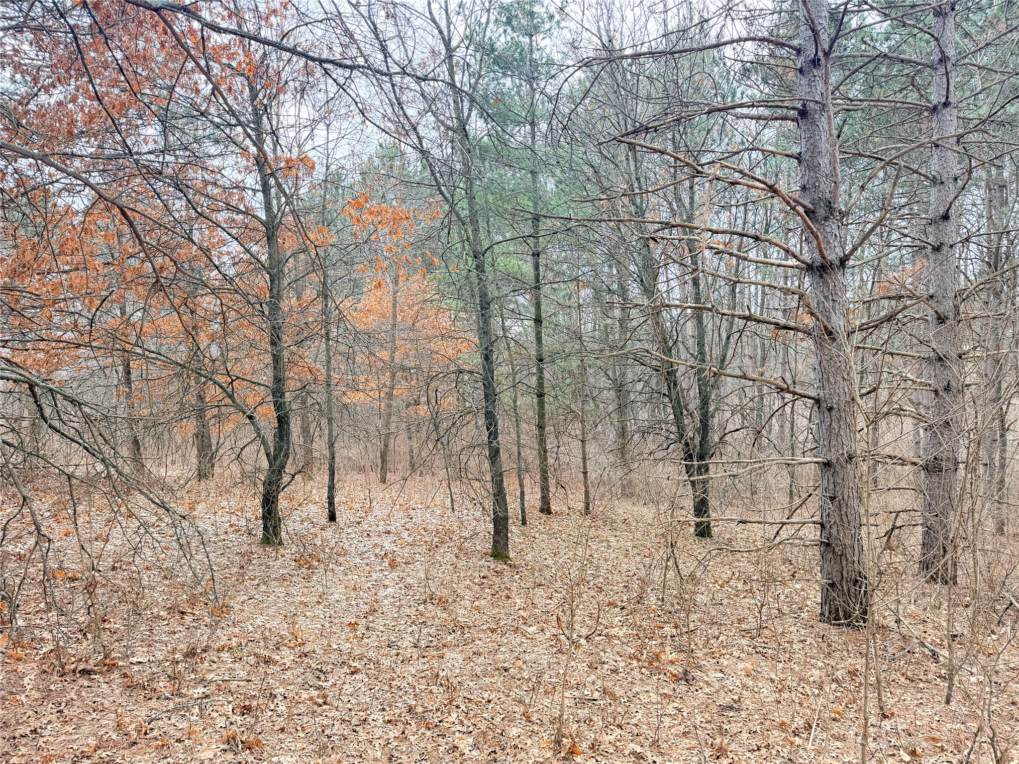 Lot 2 Big Lake Drive Osceola WI 54020 1599615 image18