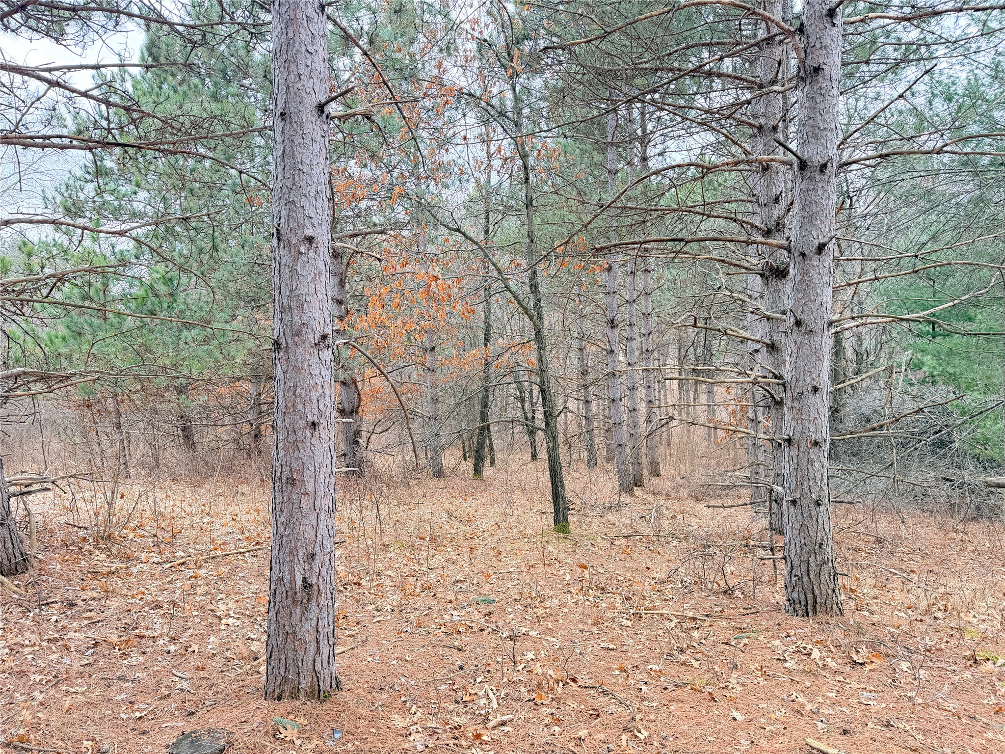 Lot 2 Big Lake Drive Osceola WI 54020 1599615 image19