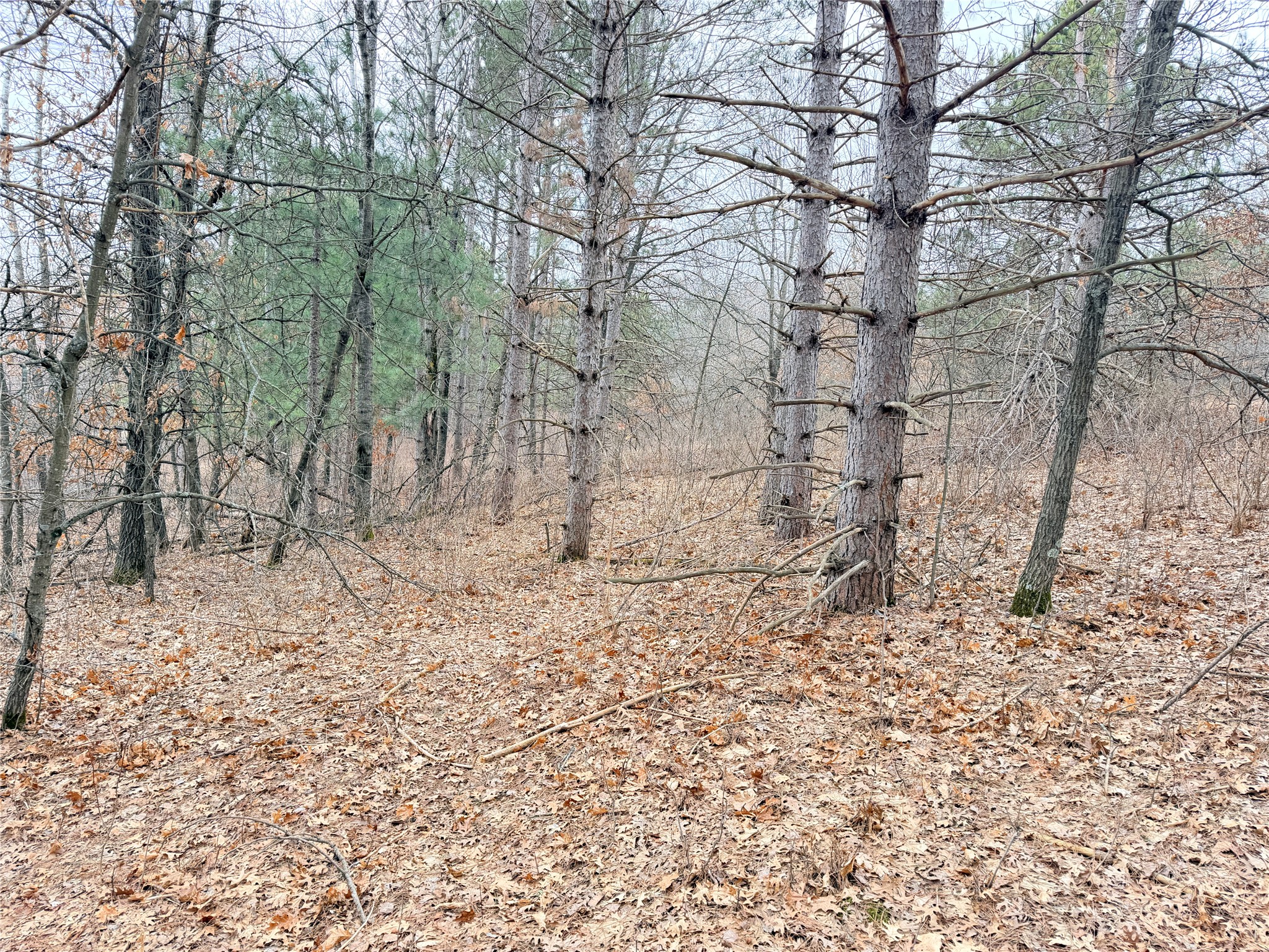 Lot 2 Big Lake Drive Osceola WI 54020 1599615 image2