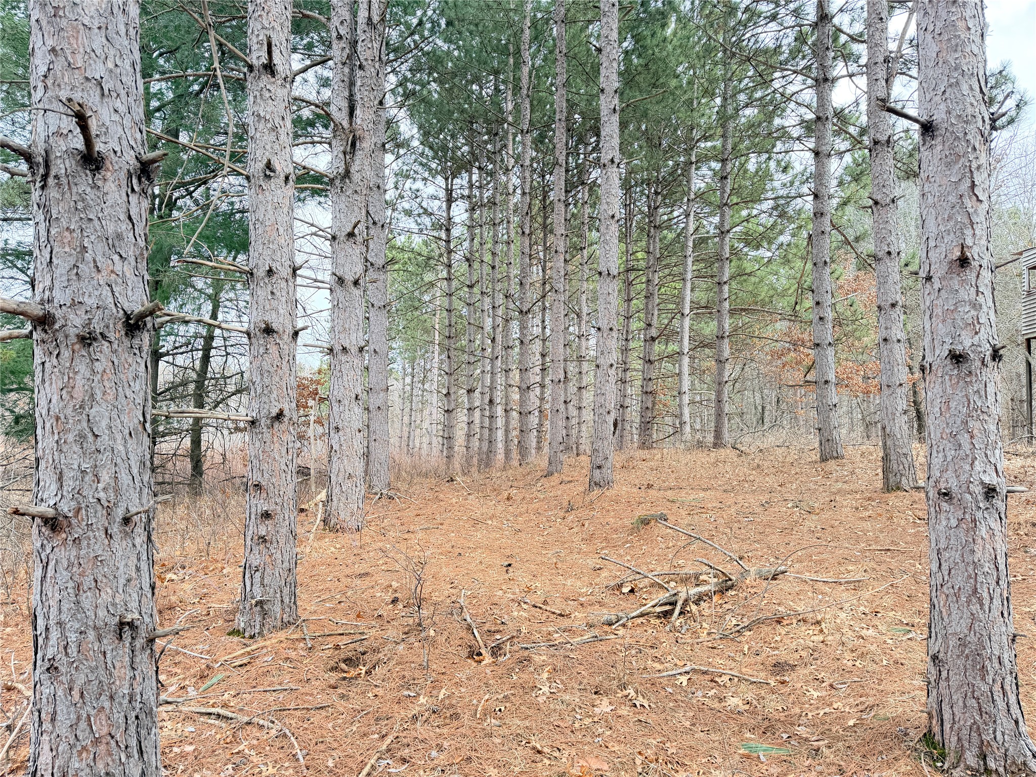 Lot 2 Big Lake Drive Osceola WI 54020 1599615 image20