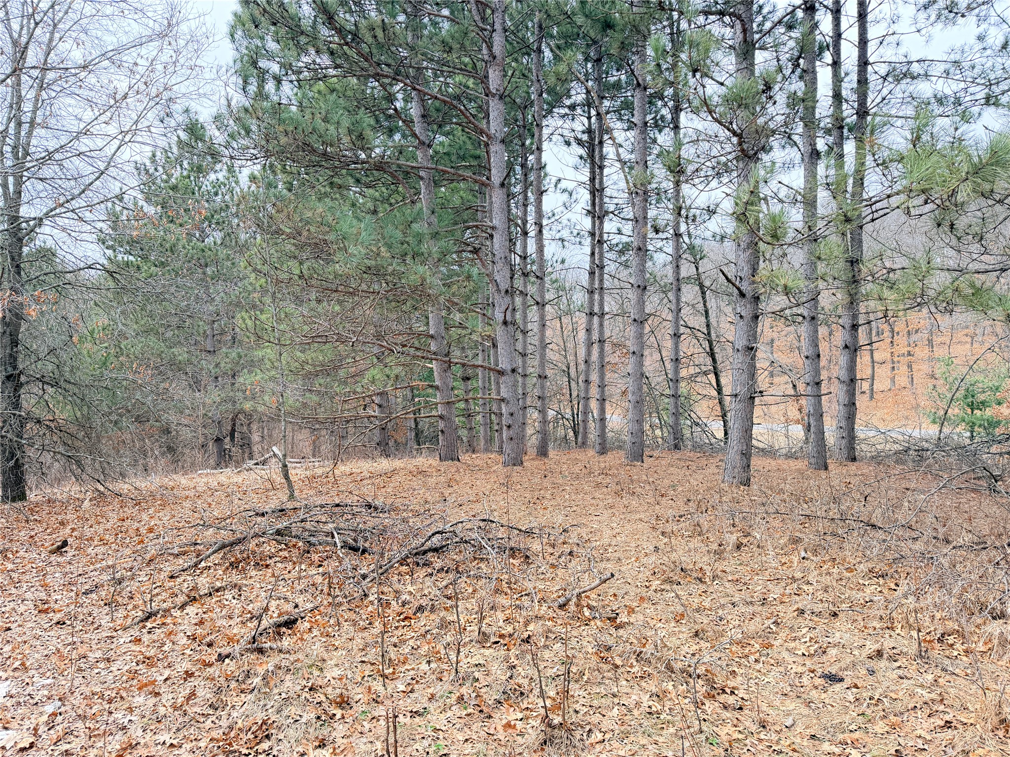 Lot 2 Big Lake Drive Osceola WI 54020 1599615 image22