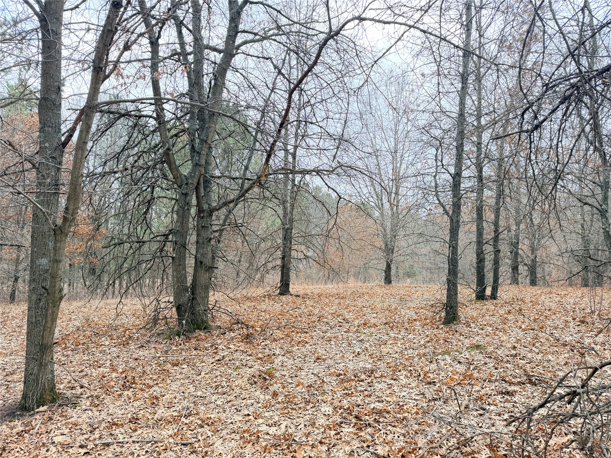 Lot 2 Big Lake Drive Osceola WI 54020 1599615 image24