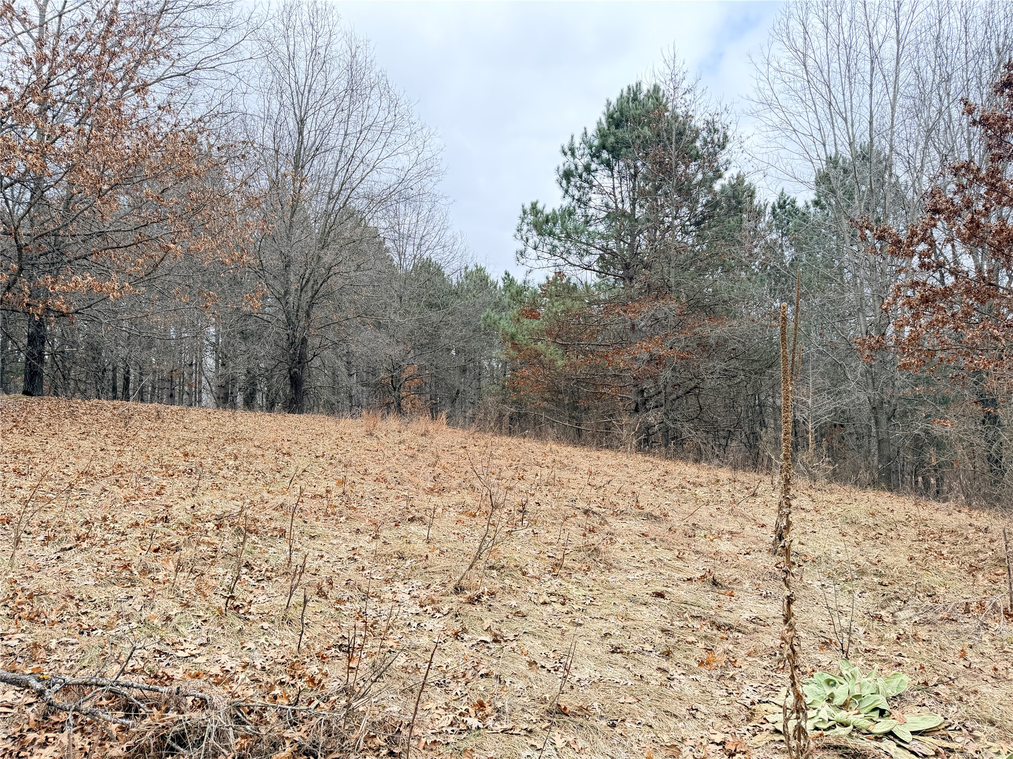 Lot 2 Big Lake Drive Osceola WI 54020 1599615 image3