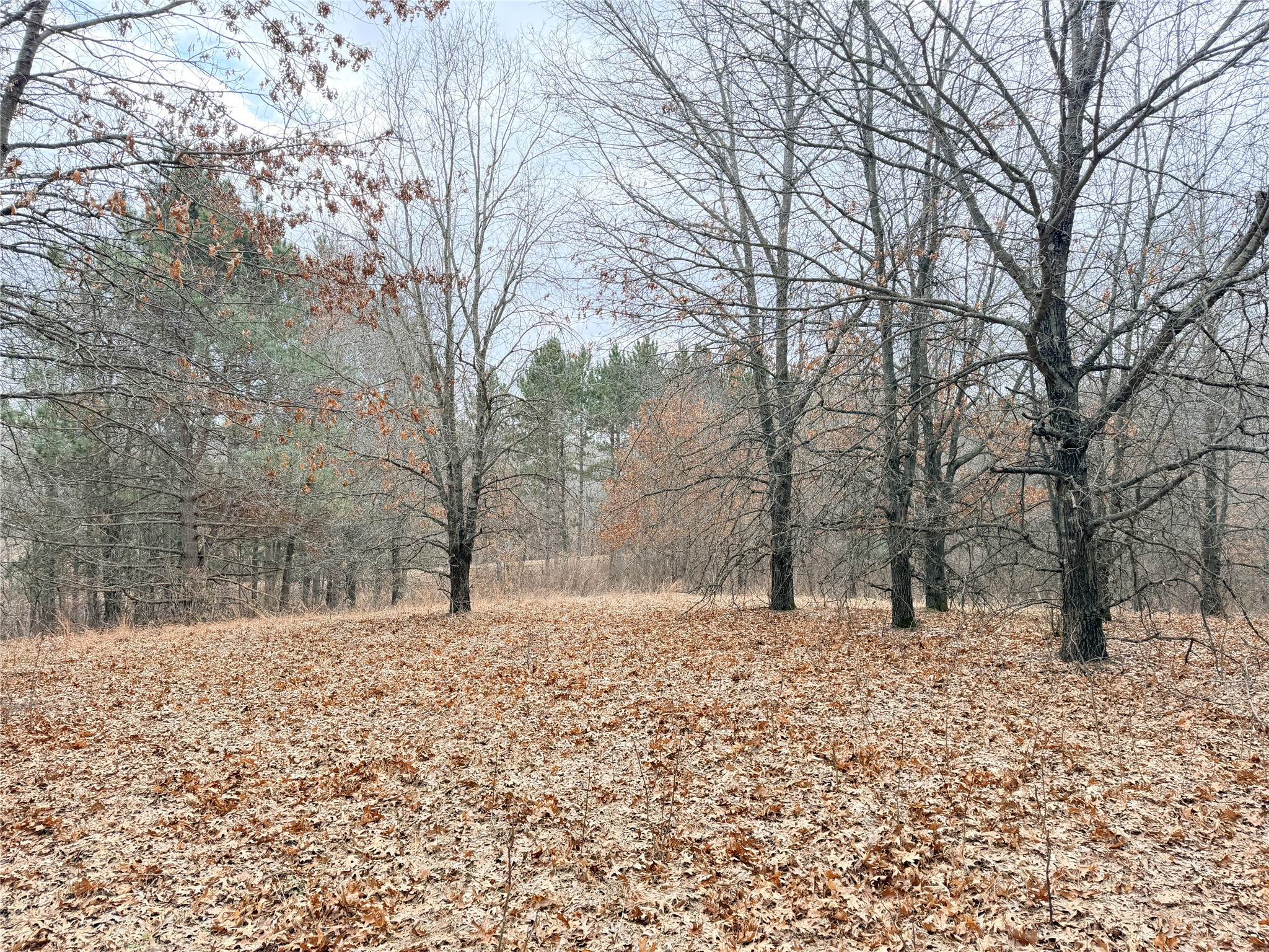 Lot 2 Big Lake Drive Osceola WI 54020 1599615 image6