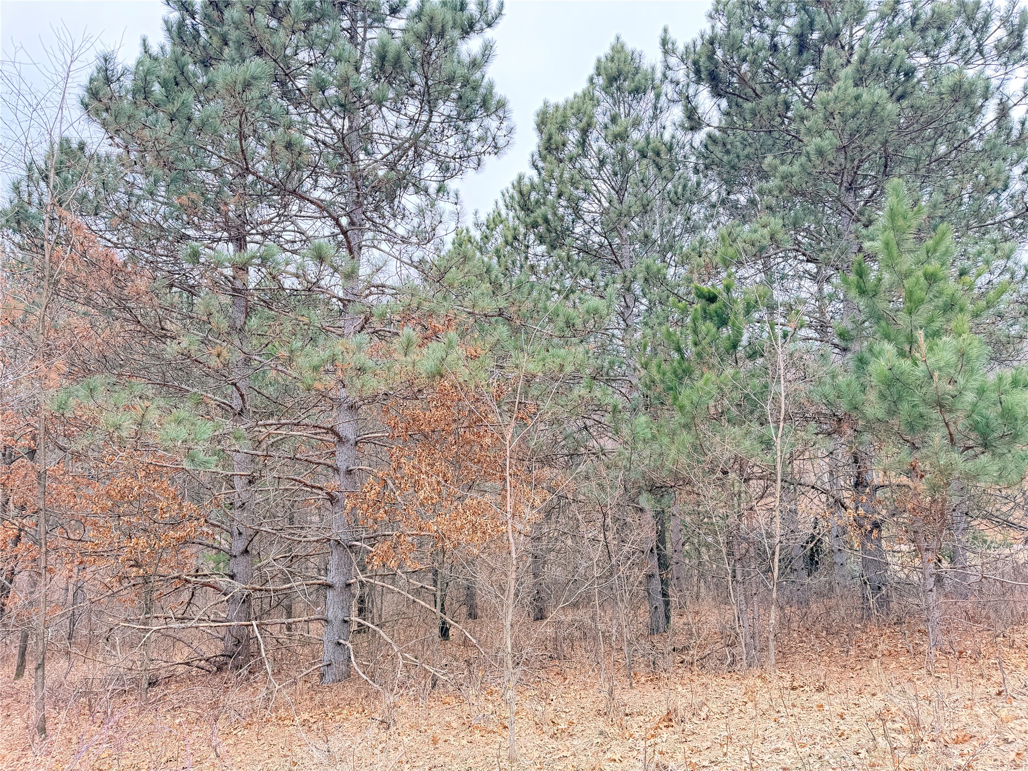Lot 2 Big Lake Drive Osceola WI 54020 1599615 image8