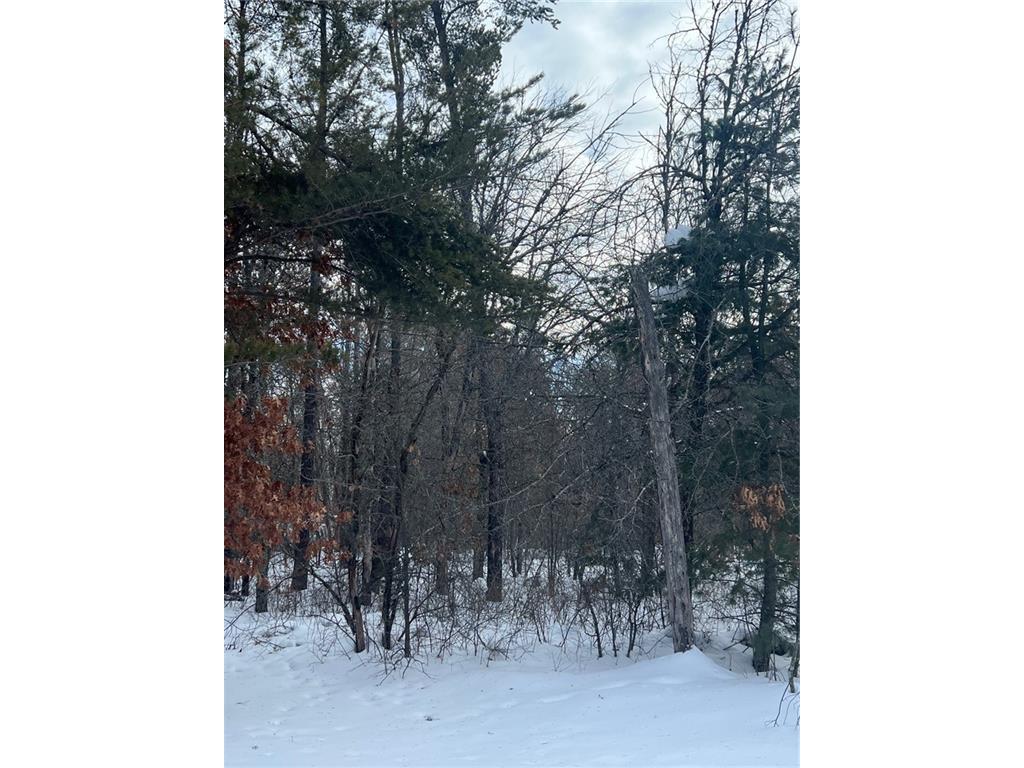 Lot 2 Borg Road Grantsburg WI 54840 1570985 image1